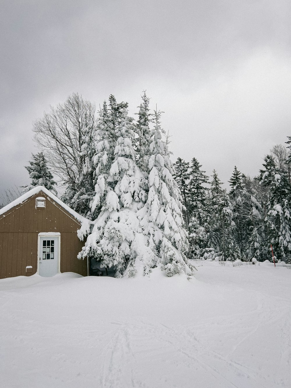 a house in the middle of a snowy field