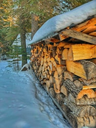 A stack of firewood neatly arranged under a wooden shelter, with a layer of snow covering the top. The scene is set in a snowy forest area, with tall evergreen trees visible in the background. The sunlight filters through the tree branches, creating a warm glow on the logs.