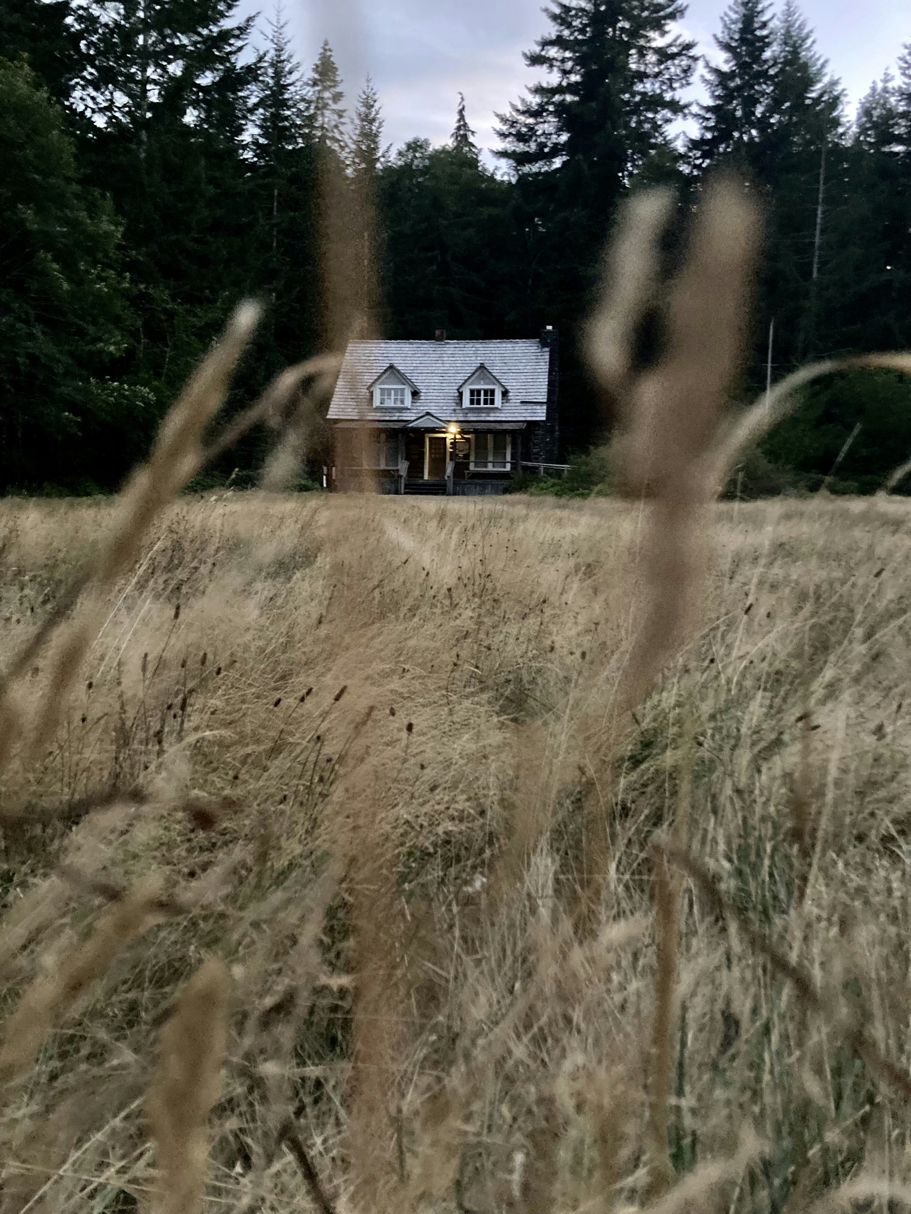 A house in the middle of a field of tall grass photo – Free House Image ...