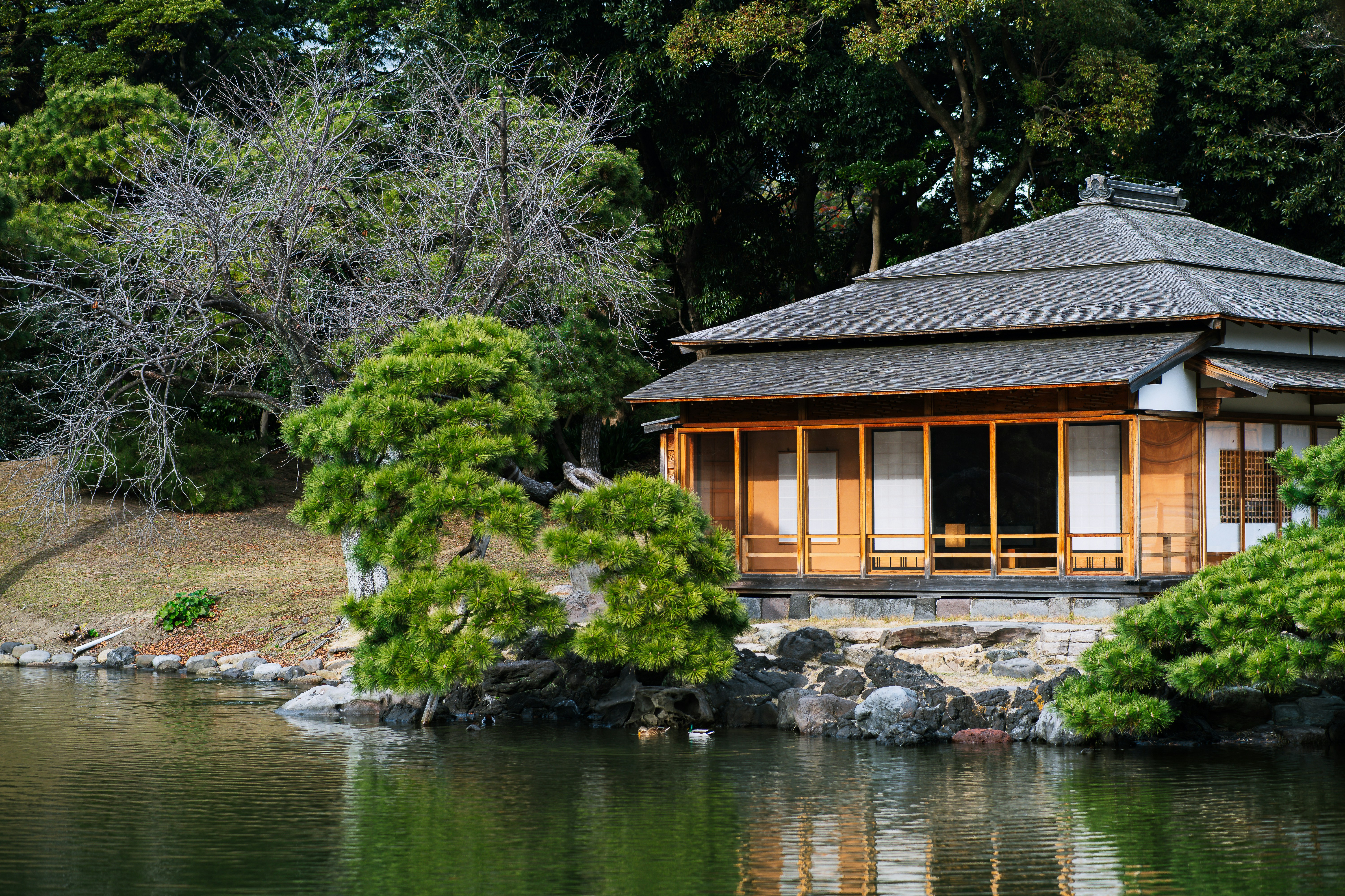 a small building sitting on top of a lake, 