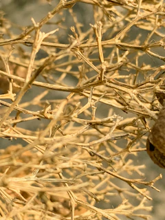Detailed view of intertwined stems and leaves, displaying the natural beauty and precision of oréa atelier’s craftsmanship.