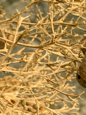 Detailed view of intertwined stems and leaves, displaying the natural beauty and precision of oréa atelier’s craftsmanship.