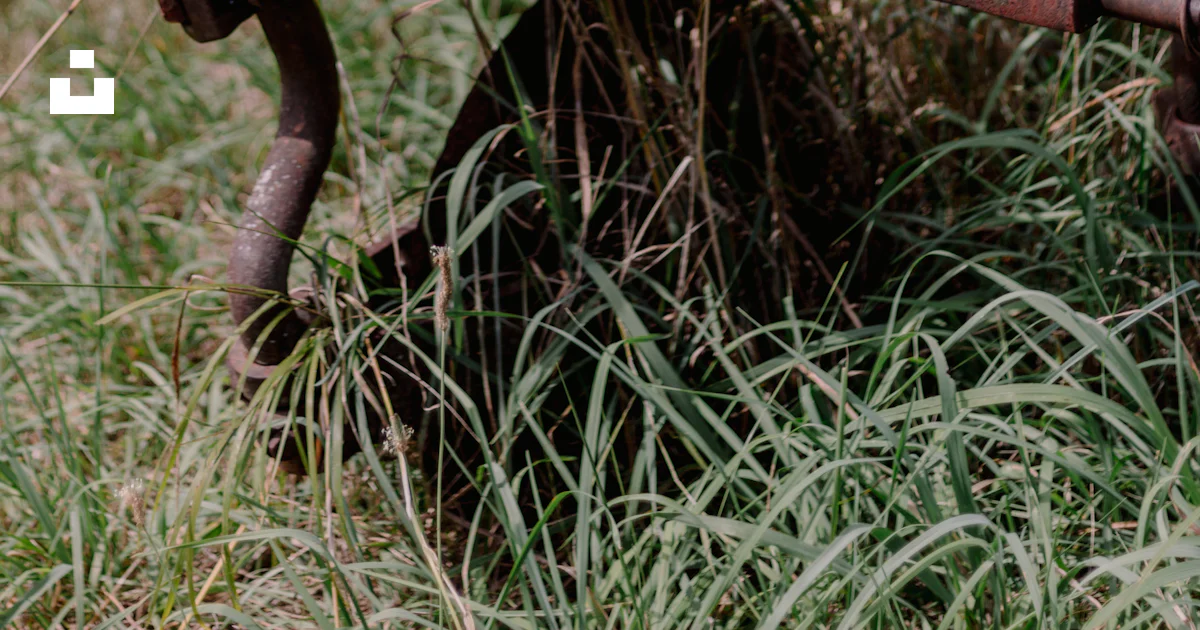 A rusted metal bench sitting in the grass photo – Free Ohio Image on ...