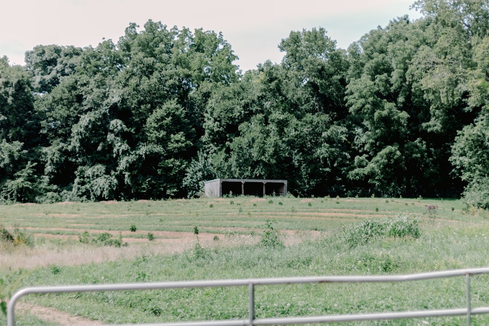 ein Feld mit Bäumen und einem Gebäude im Hintergrund