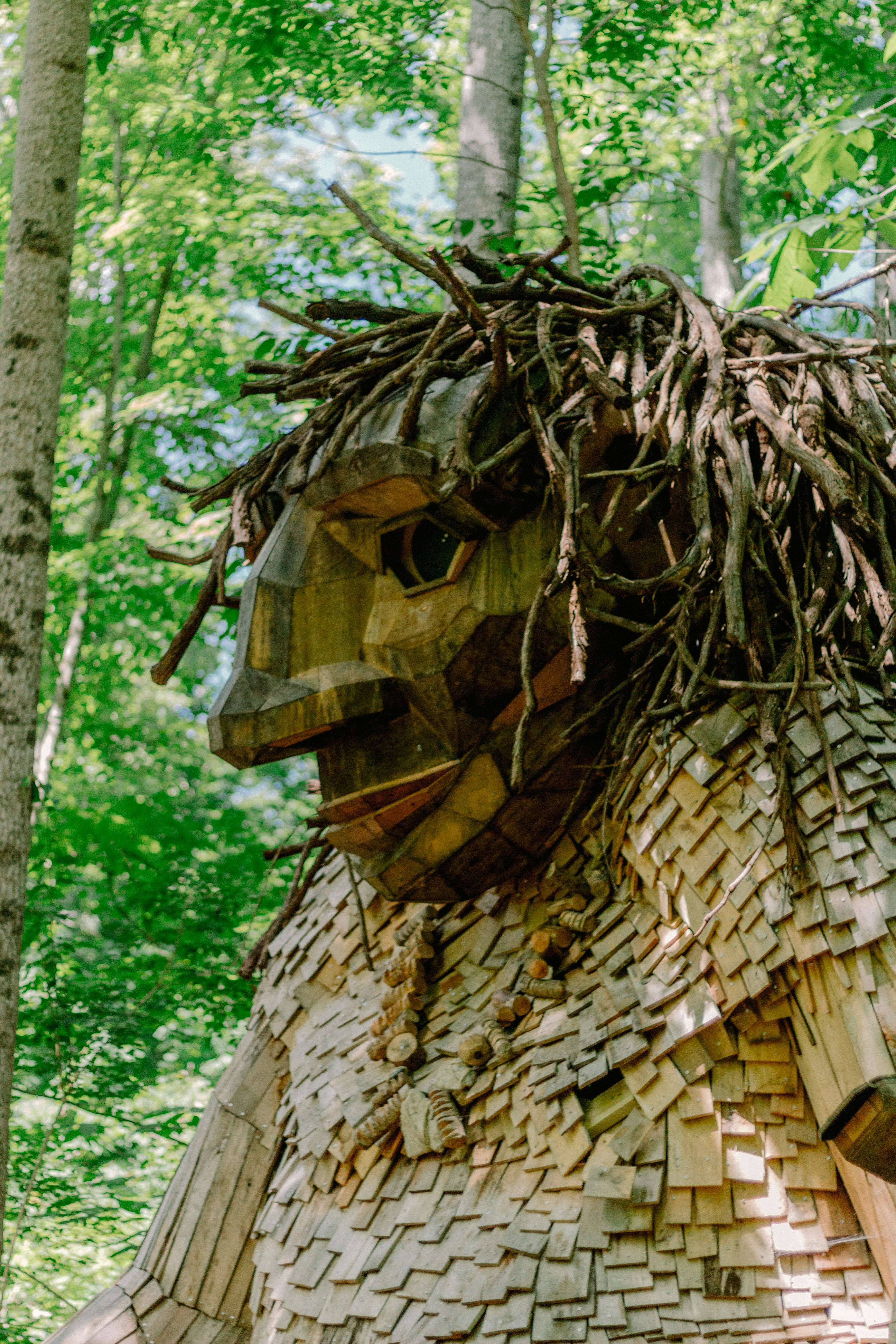 a sculpture of a man made of wood in the woods