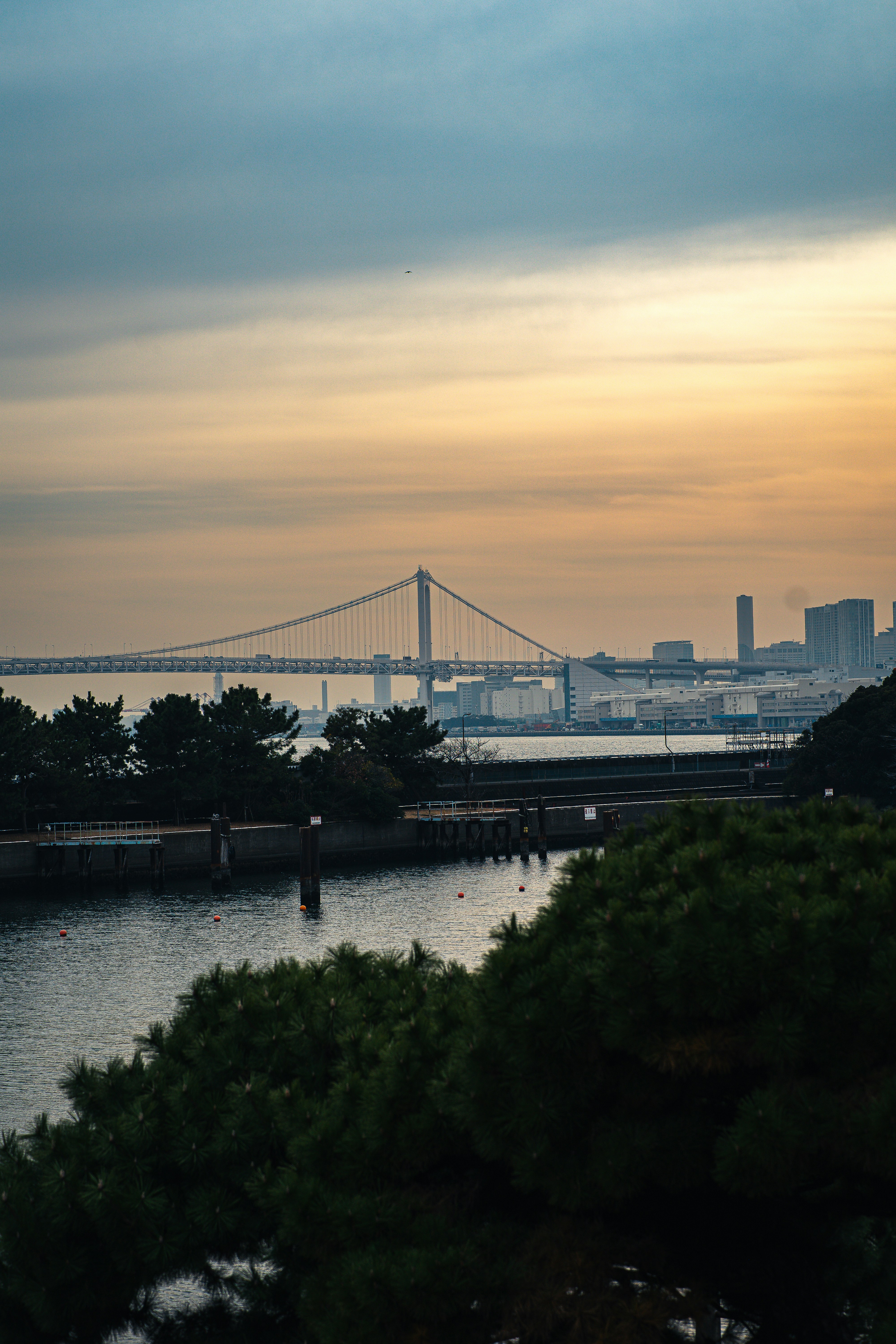 Photo by shields_mcmxcix