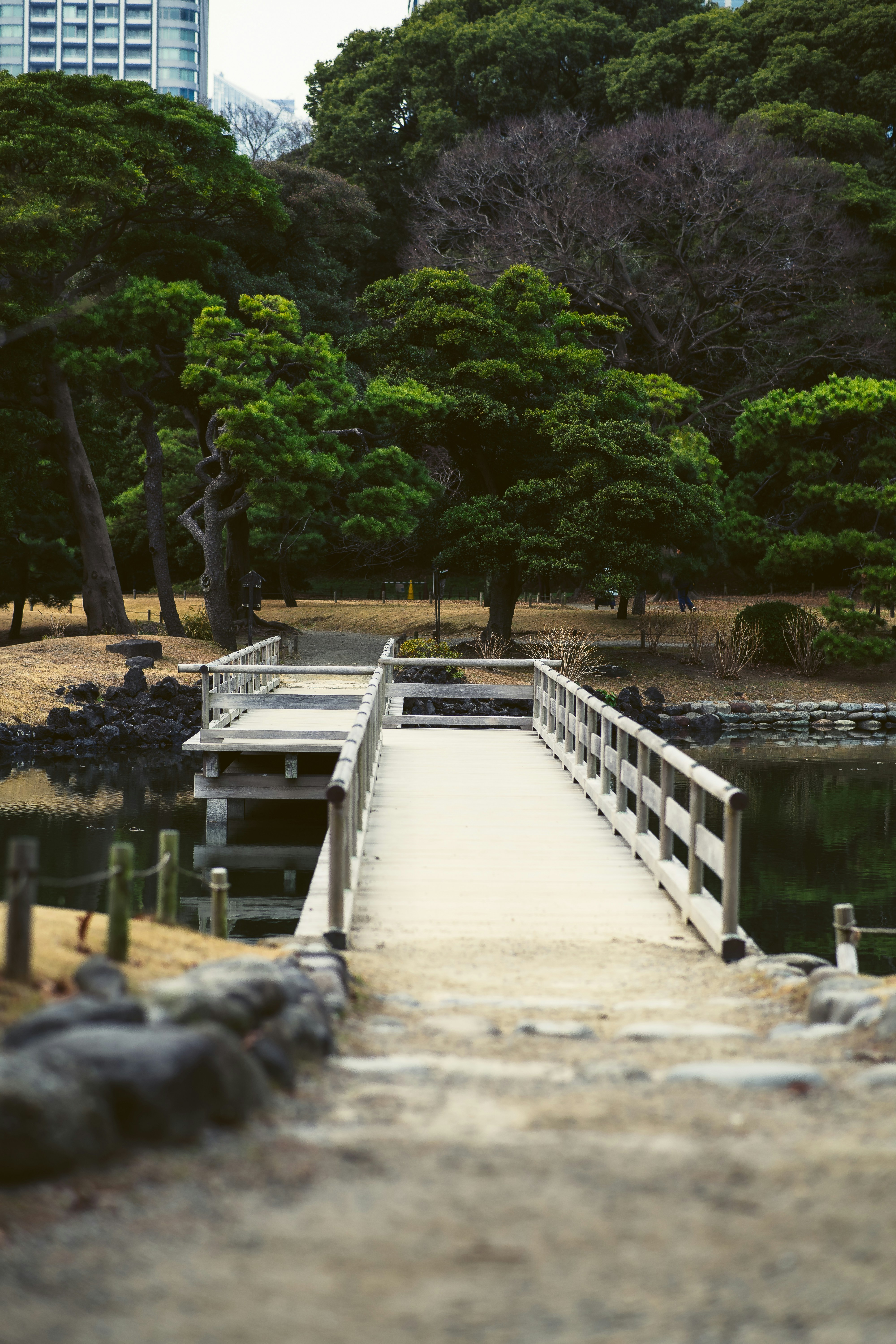 Photo by shields_mcmxcix