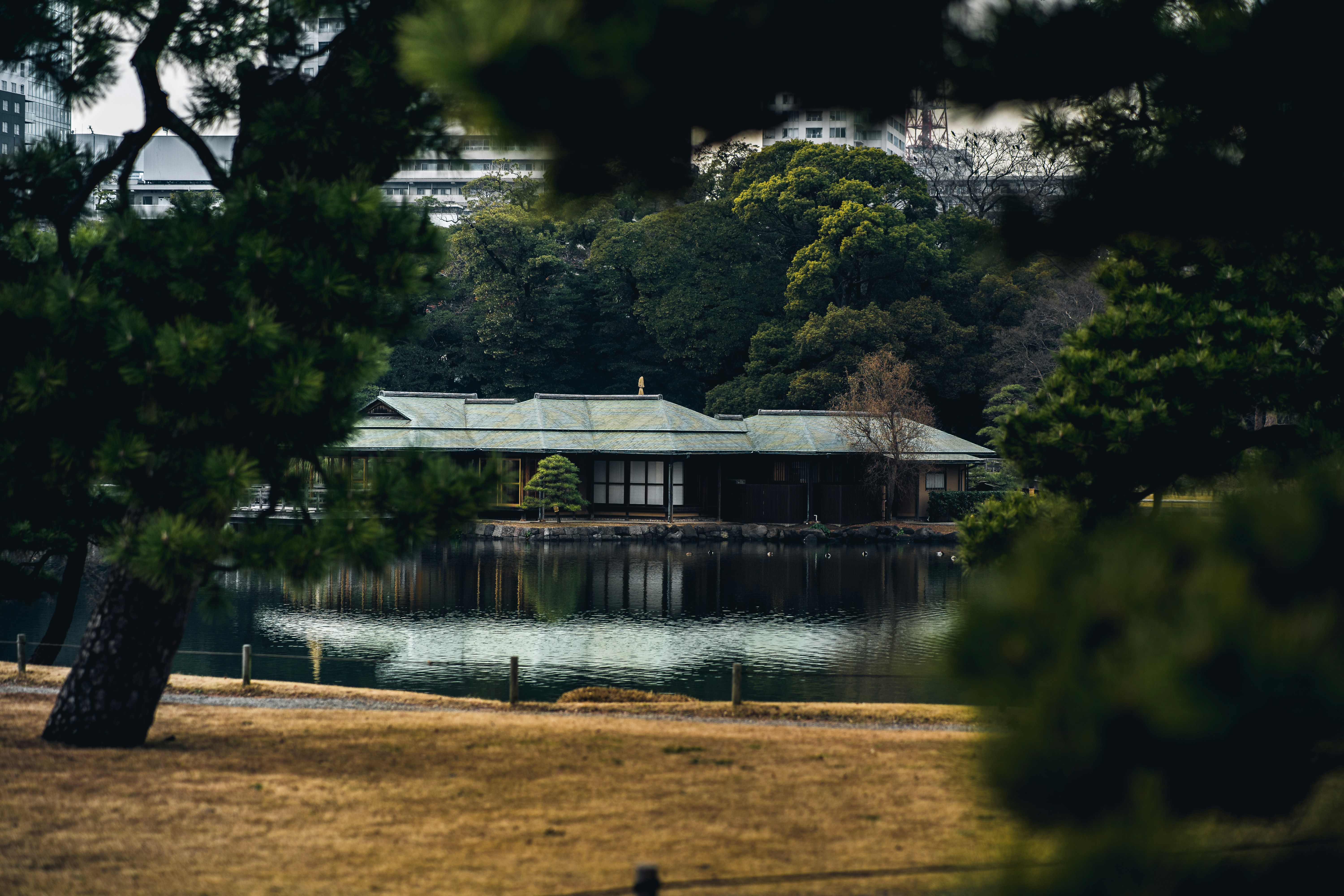 a house sitting on top of a lush green field next to a lake, 