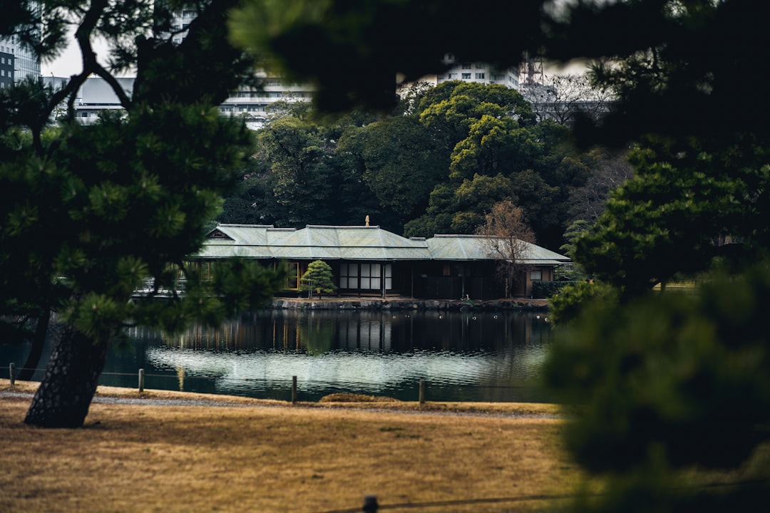 a house sitting on top of a lush green field next to a lake,
