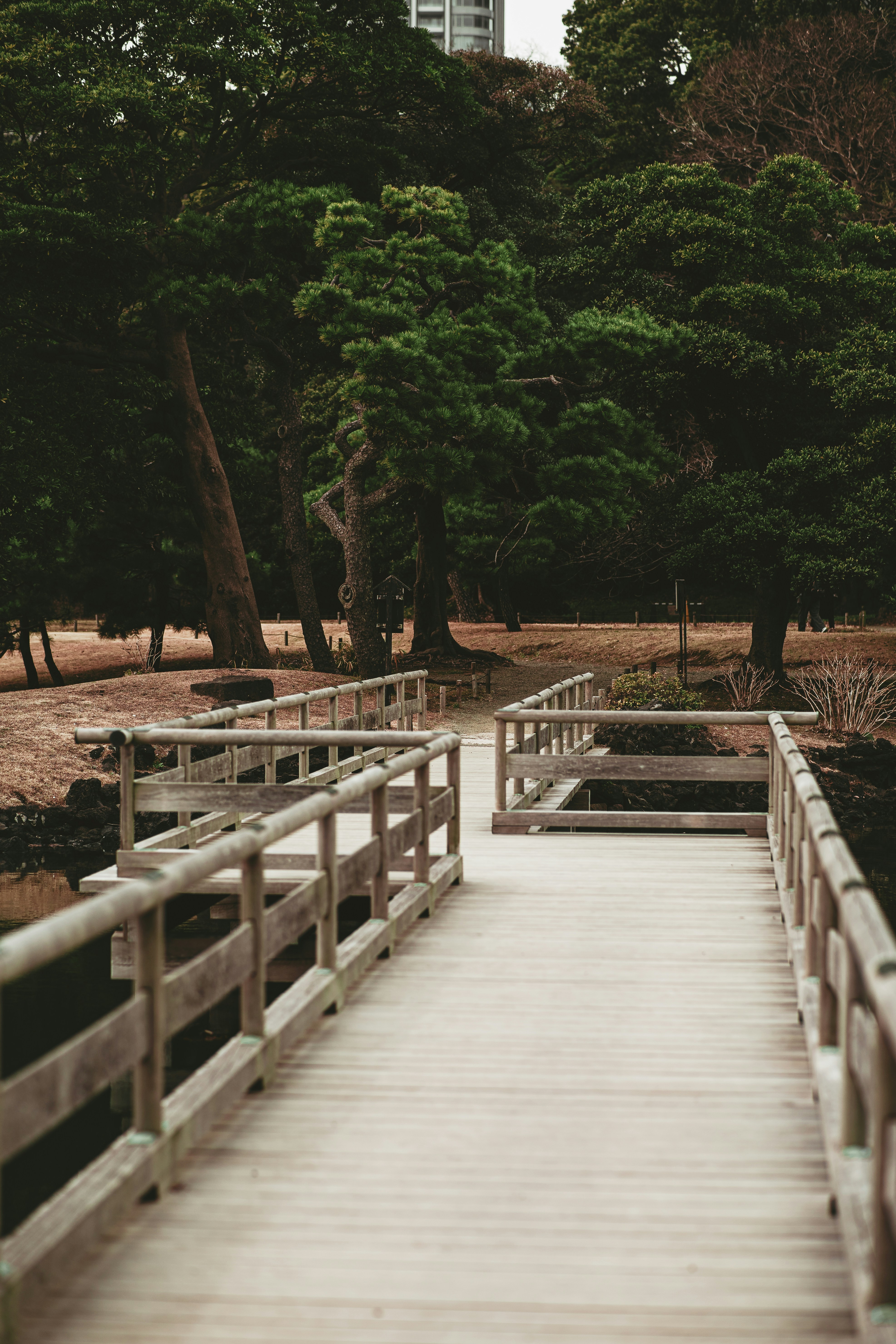 Photo by shields_mcmxcix