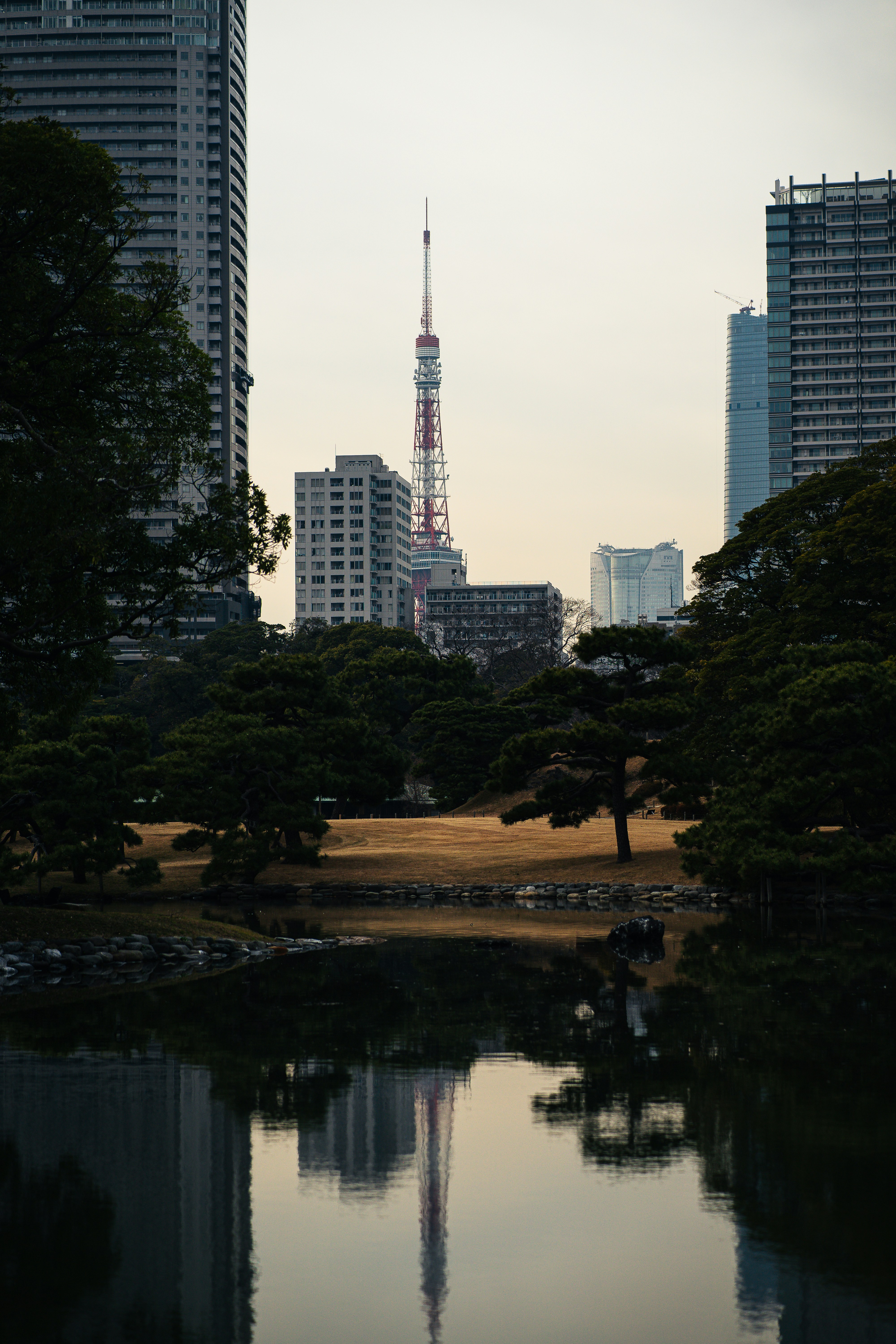 Photo by shields_mcmxcix