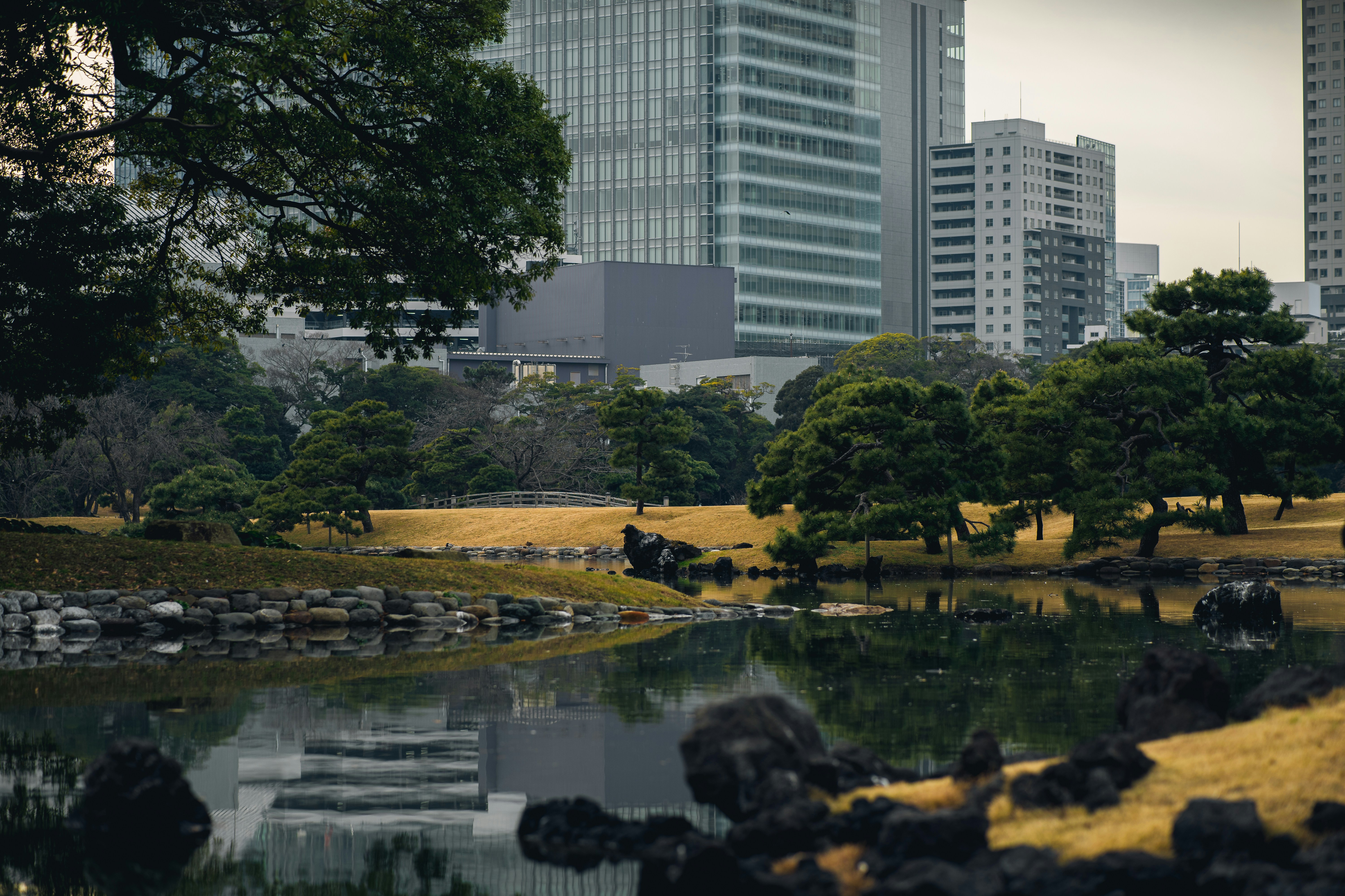 Photo by shields_mcmxcix