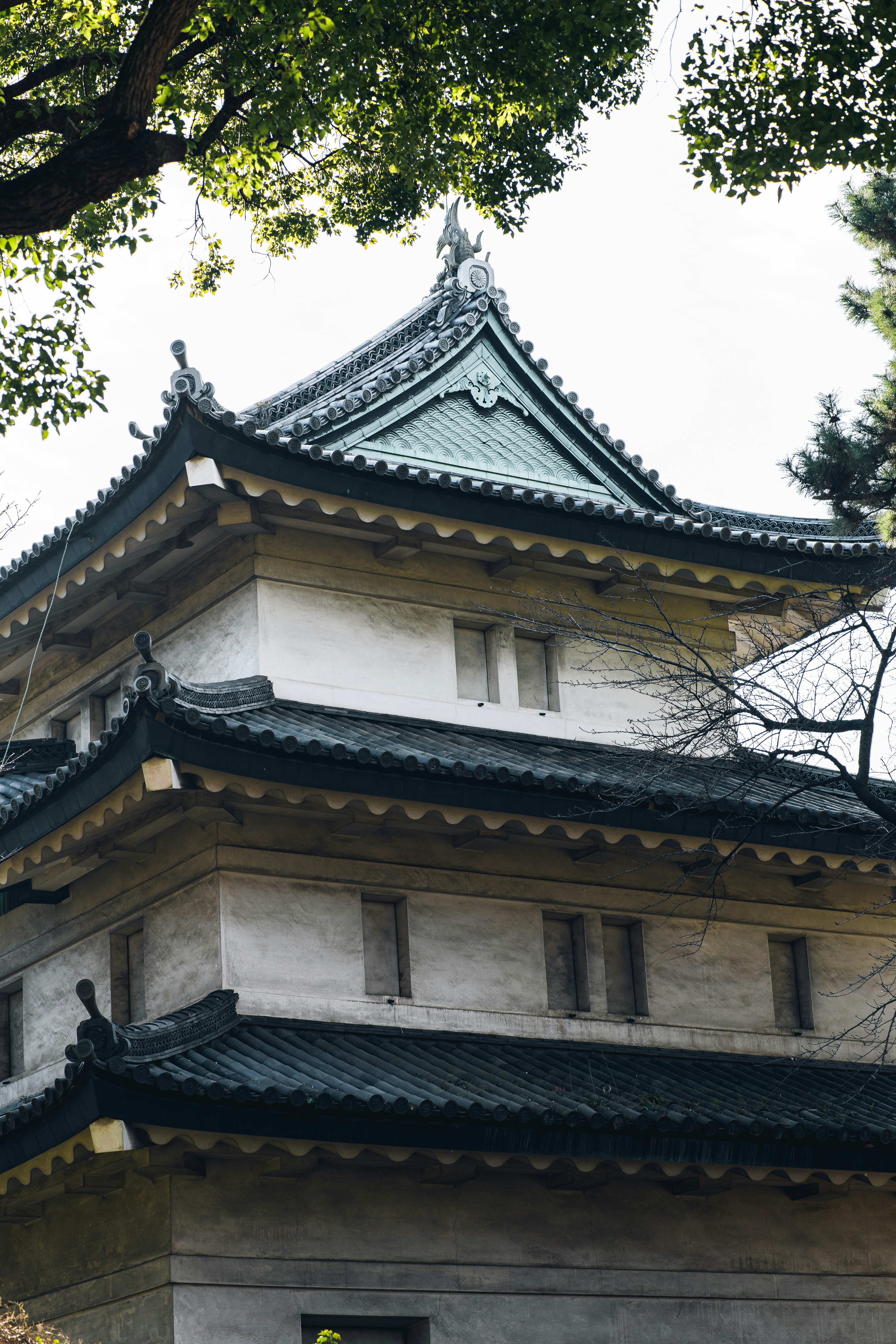 Photo by shields_mcmxcix