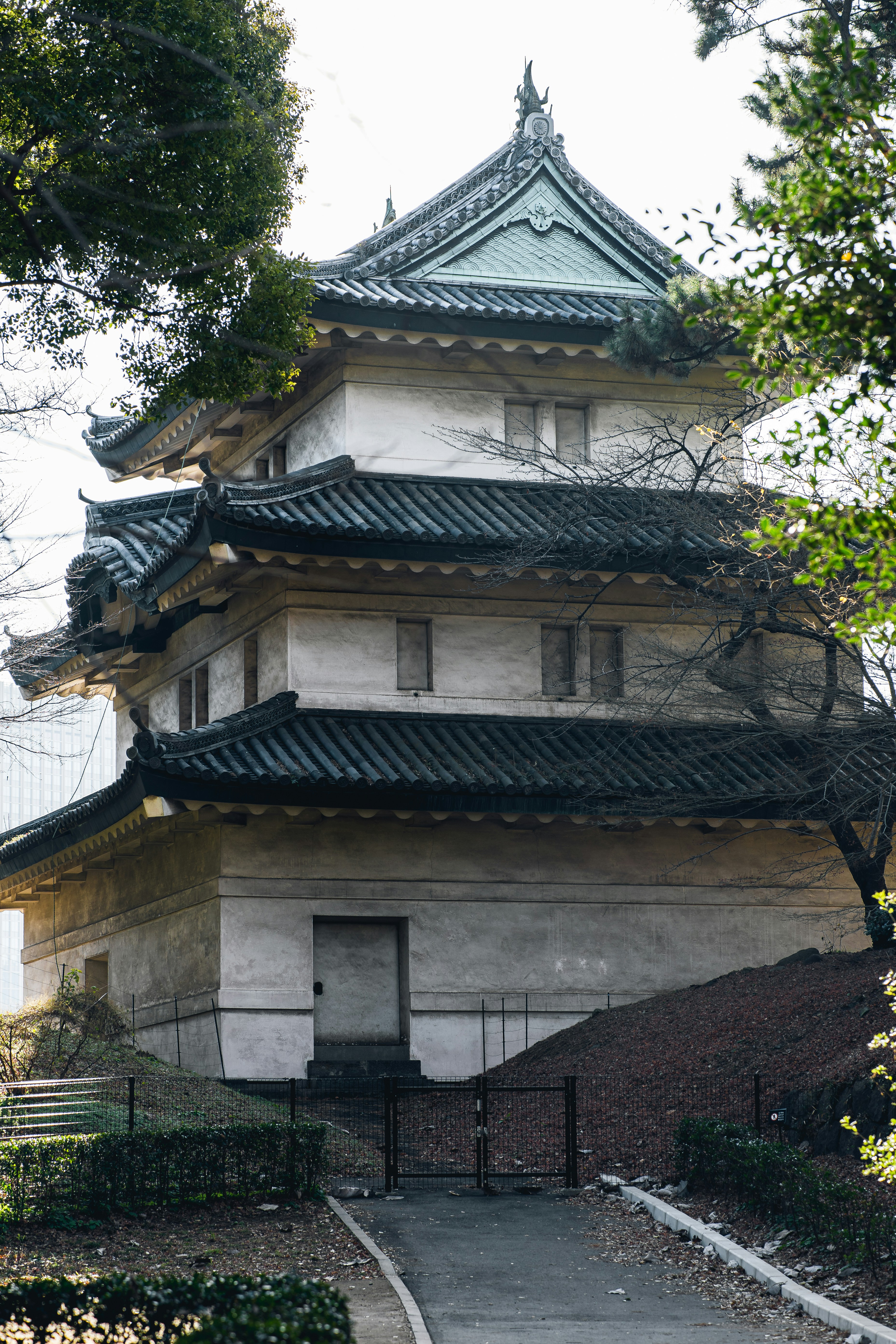 Photo by shields_mcmxcix