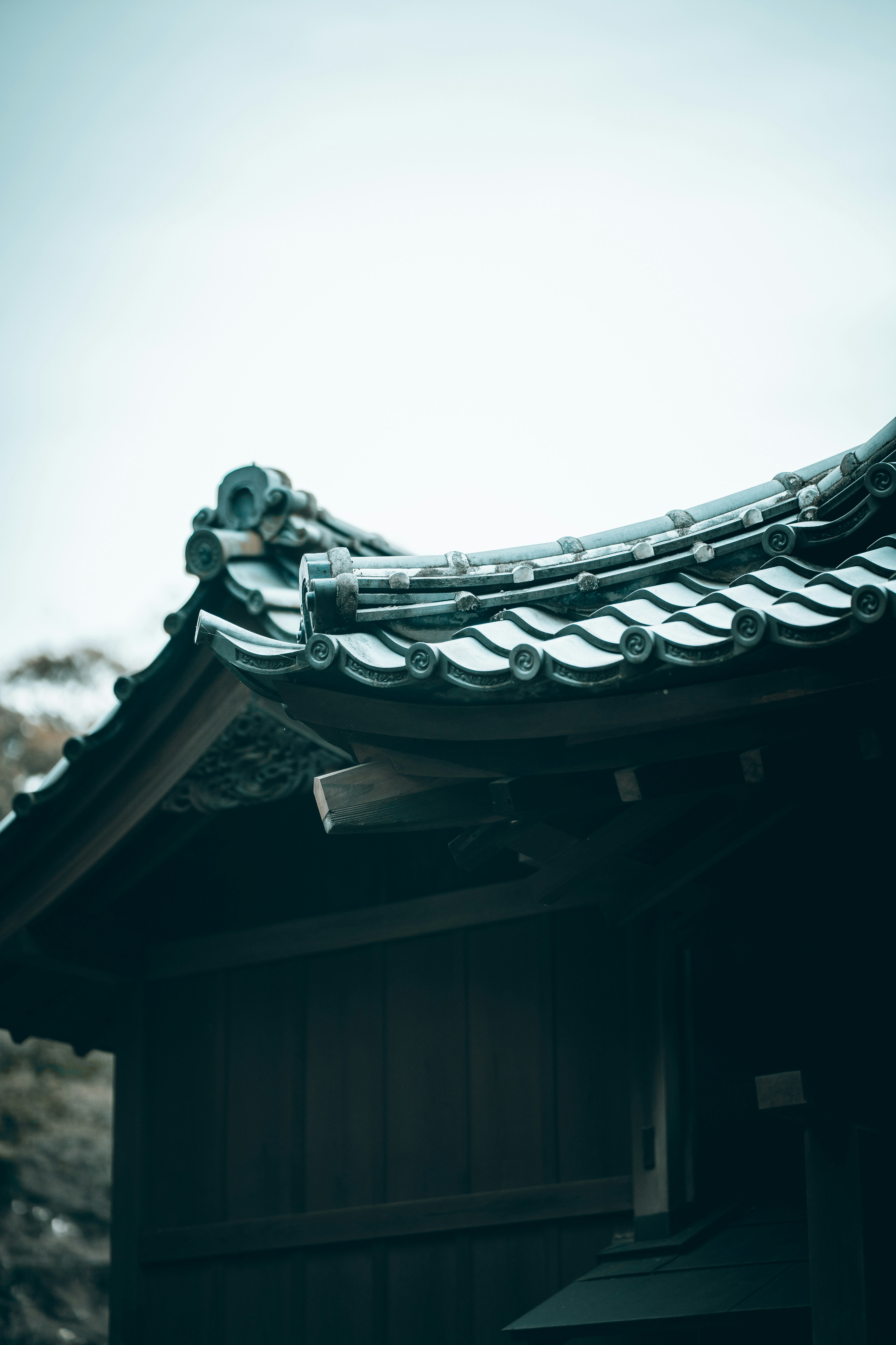 Photo by shields_mcmxcix