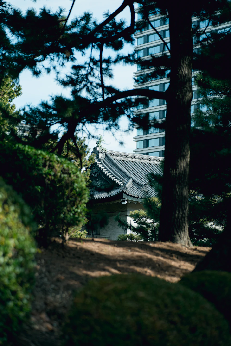 Traditional Japanese temple nestled amidst lush greenery with tall building in background partially obscured