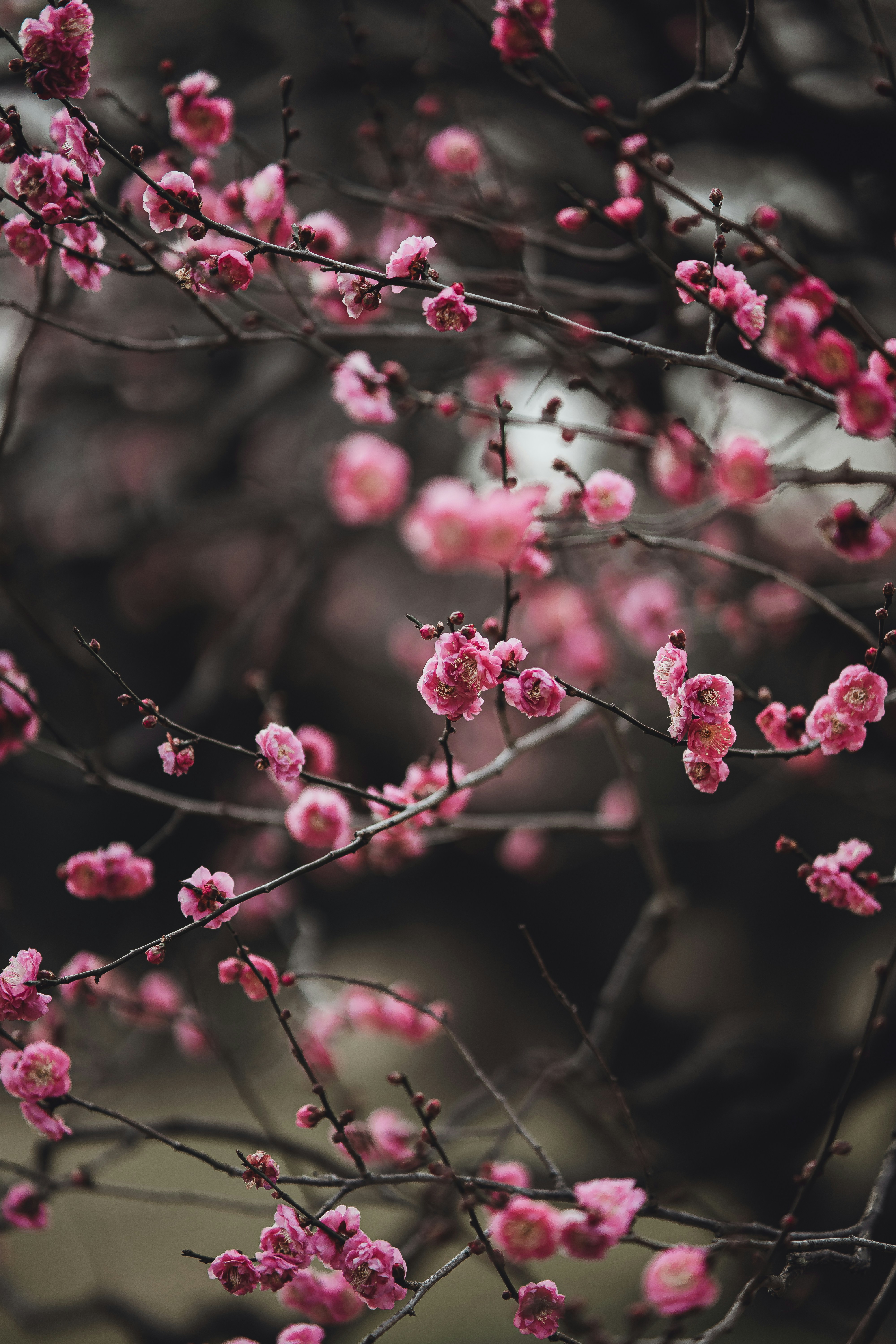 Photo by shields_mcmxcix