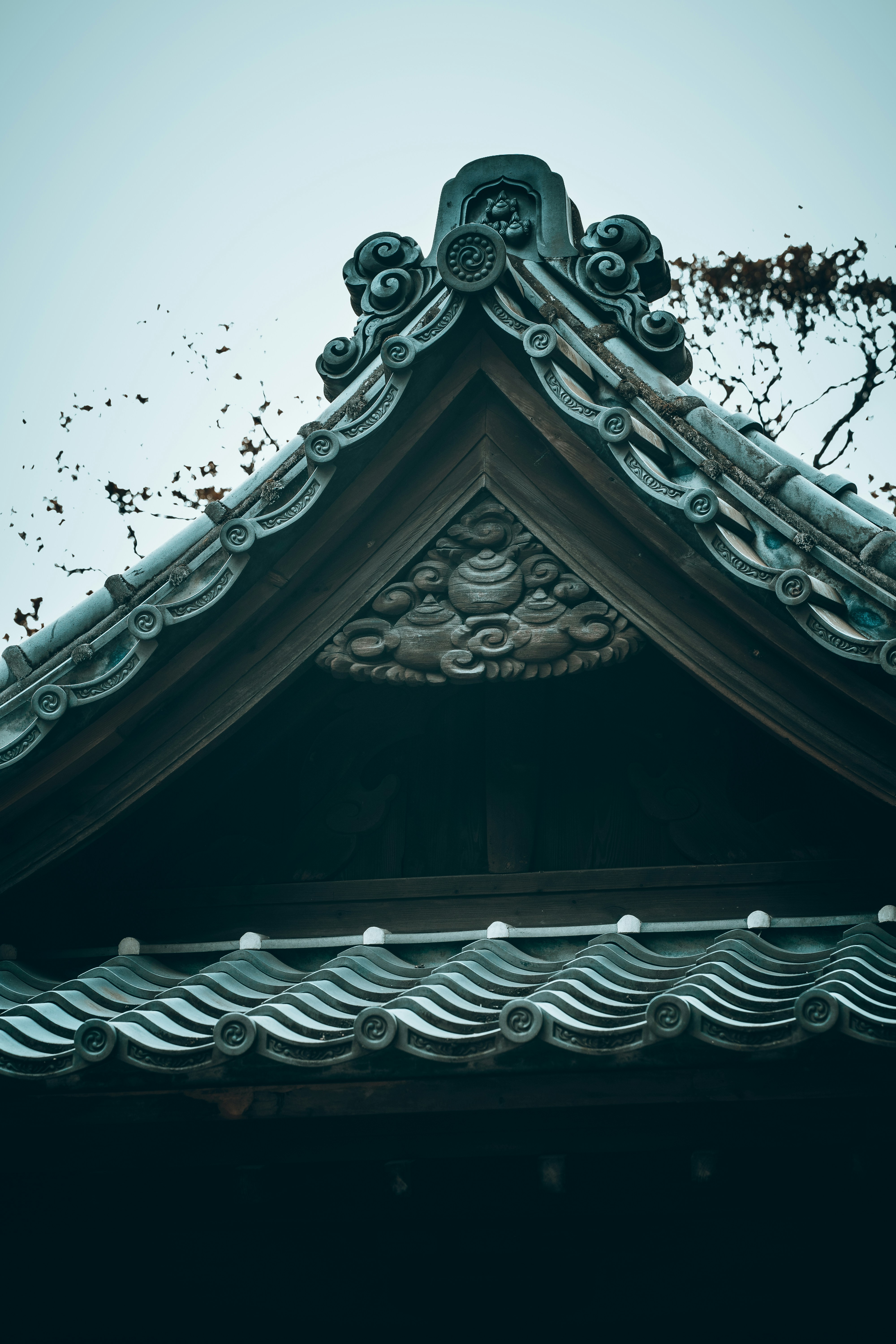 Photo by shields_mcmxcix