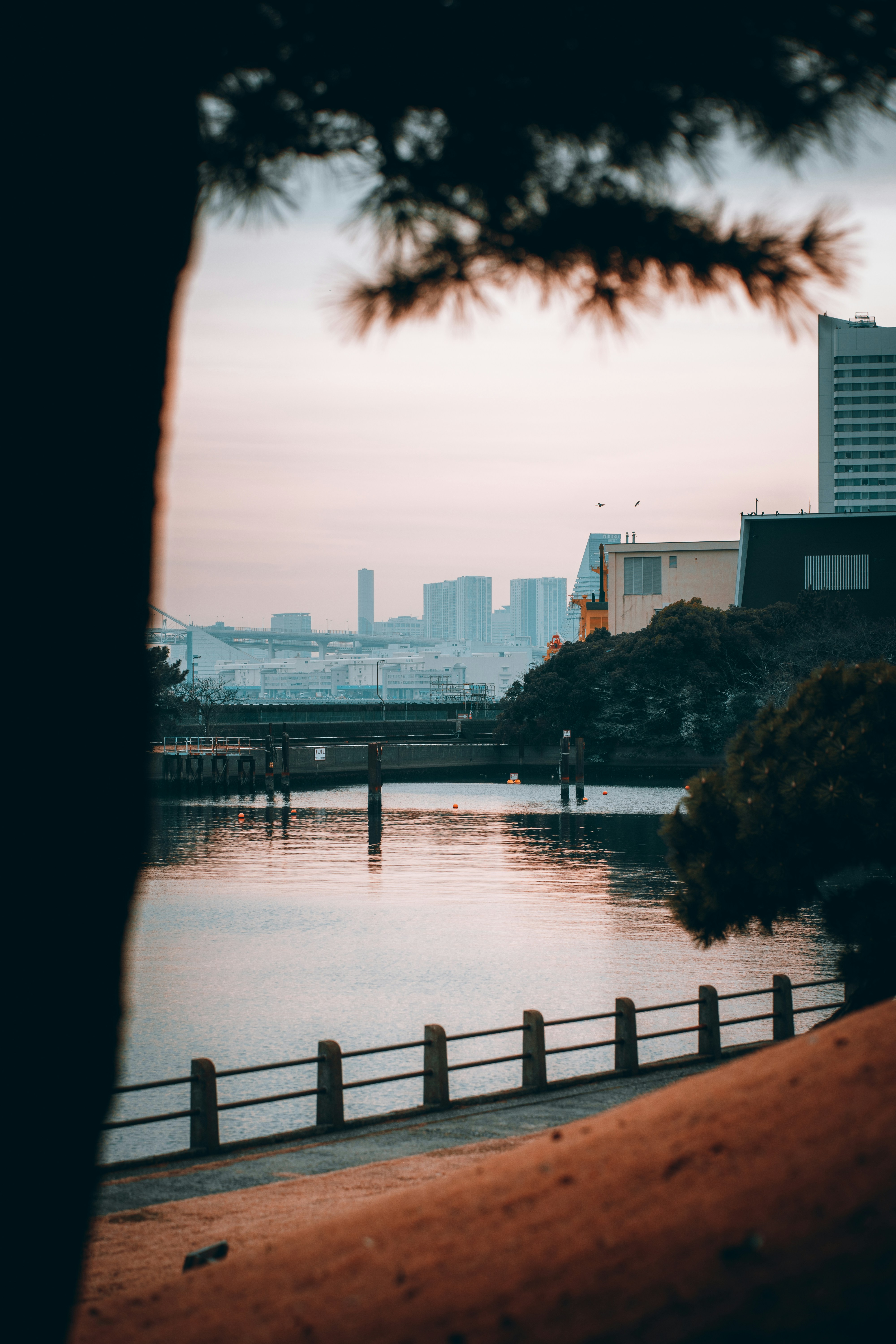 Photo by shields_mcmxcix