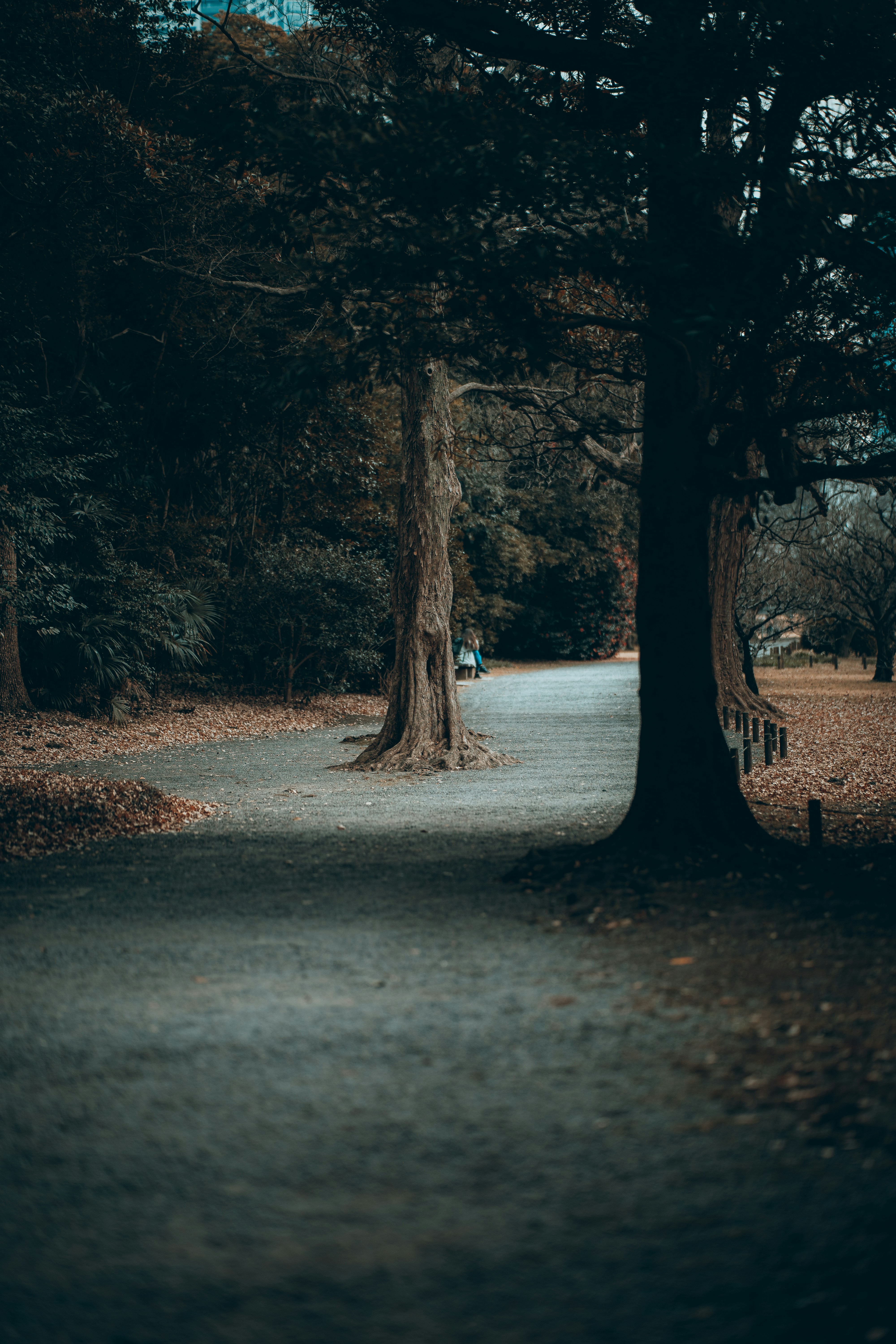 Photo by shields_mcmxcix