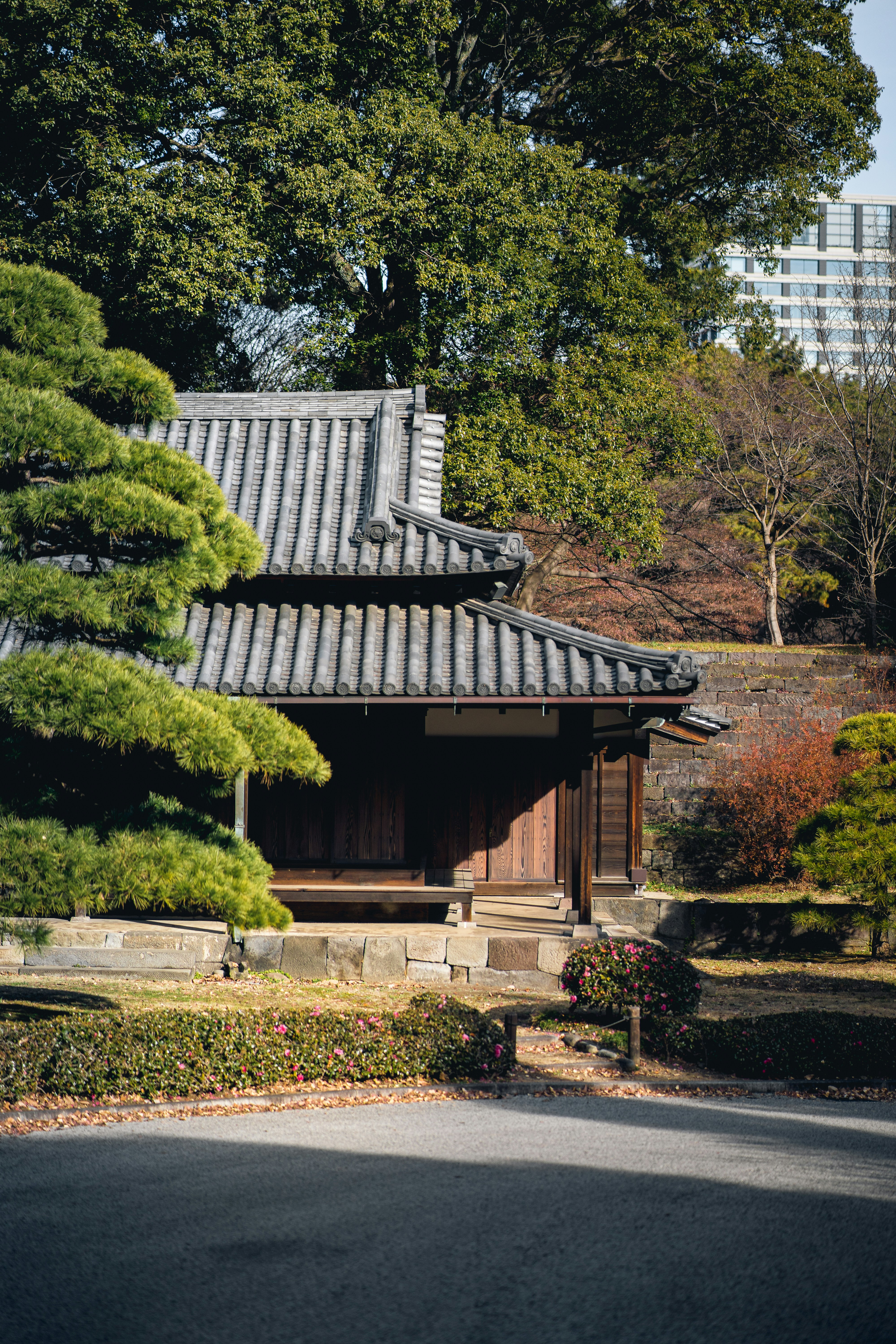 Photo by shields_mcmxcix