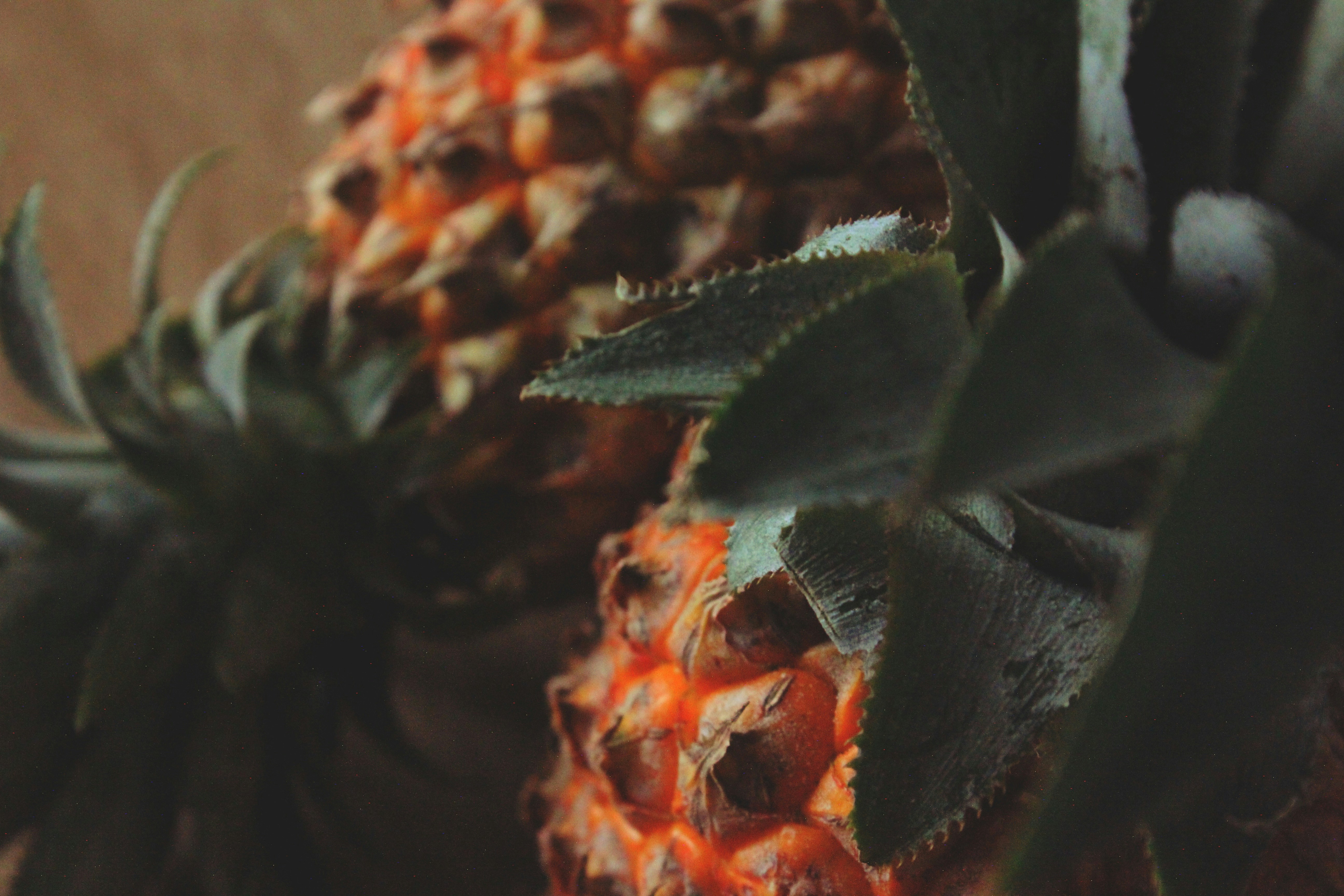 Photo by ilhamdwisyptr_