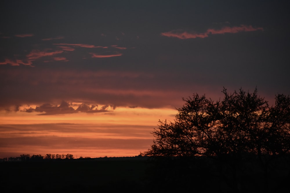 the sun is setting behind a tree in a field