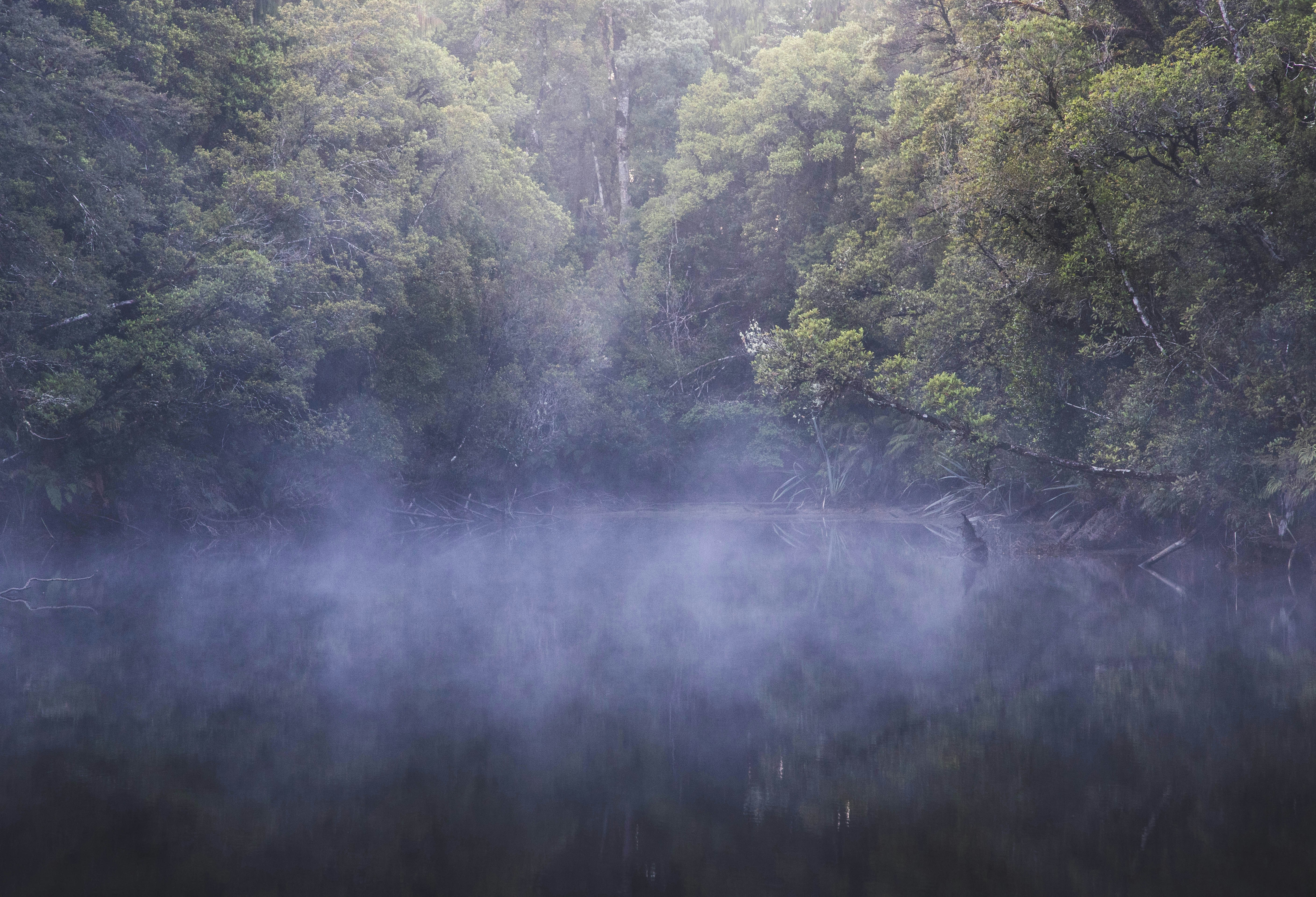 Photo by capturelight