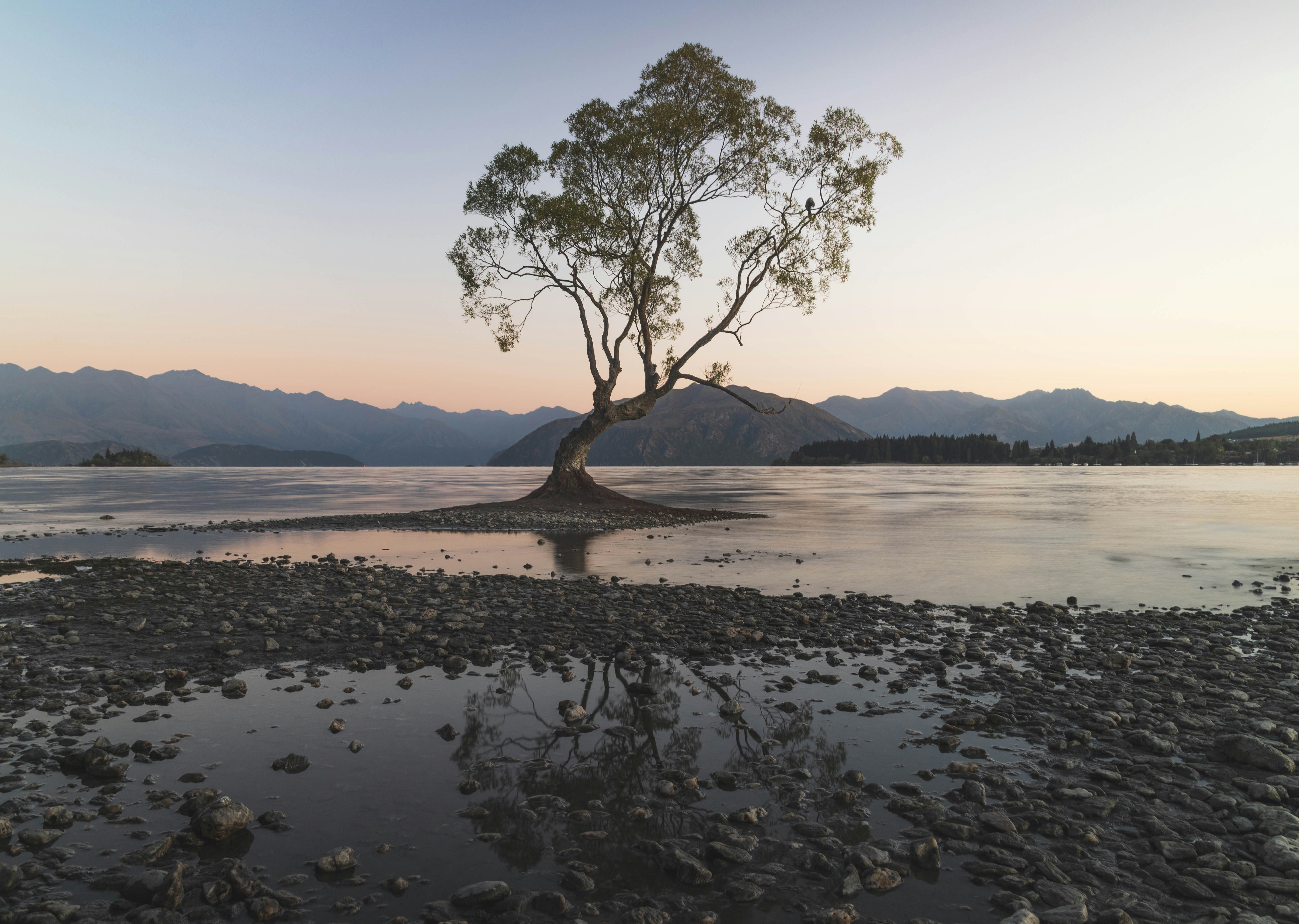 Photo by capturelight