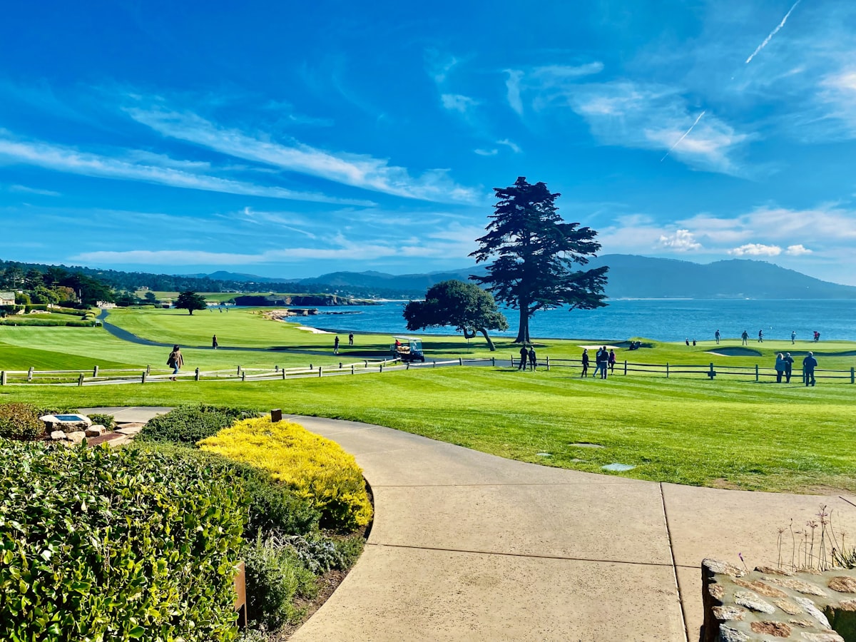 Best Golf Courses in Minnesota: A Local's Guide