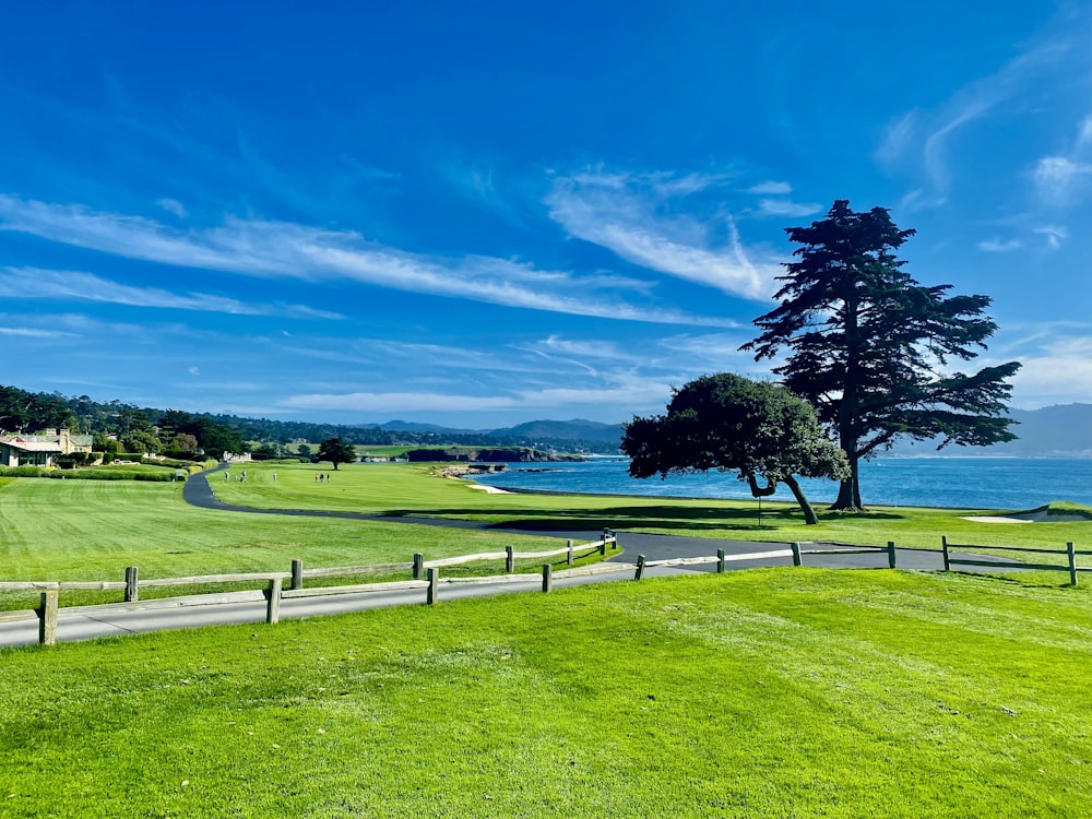 a scenic view of a golf course with a lake in the background