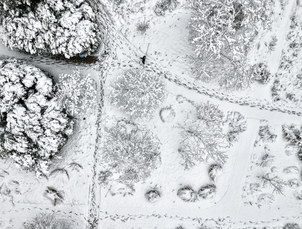 an aerial view of snow covered trees and roads