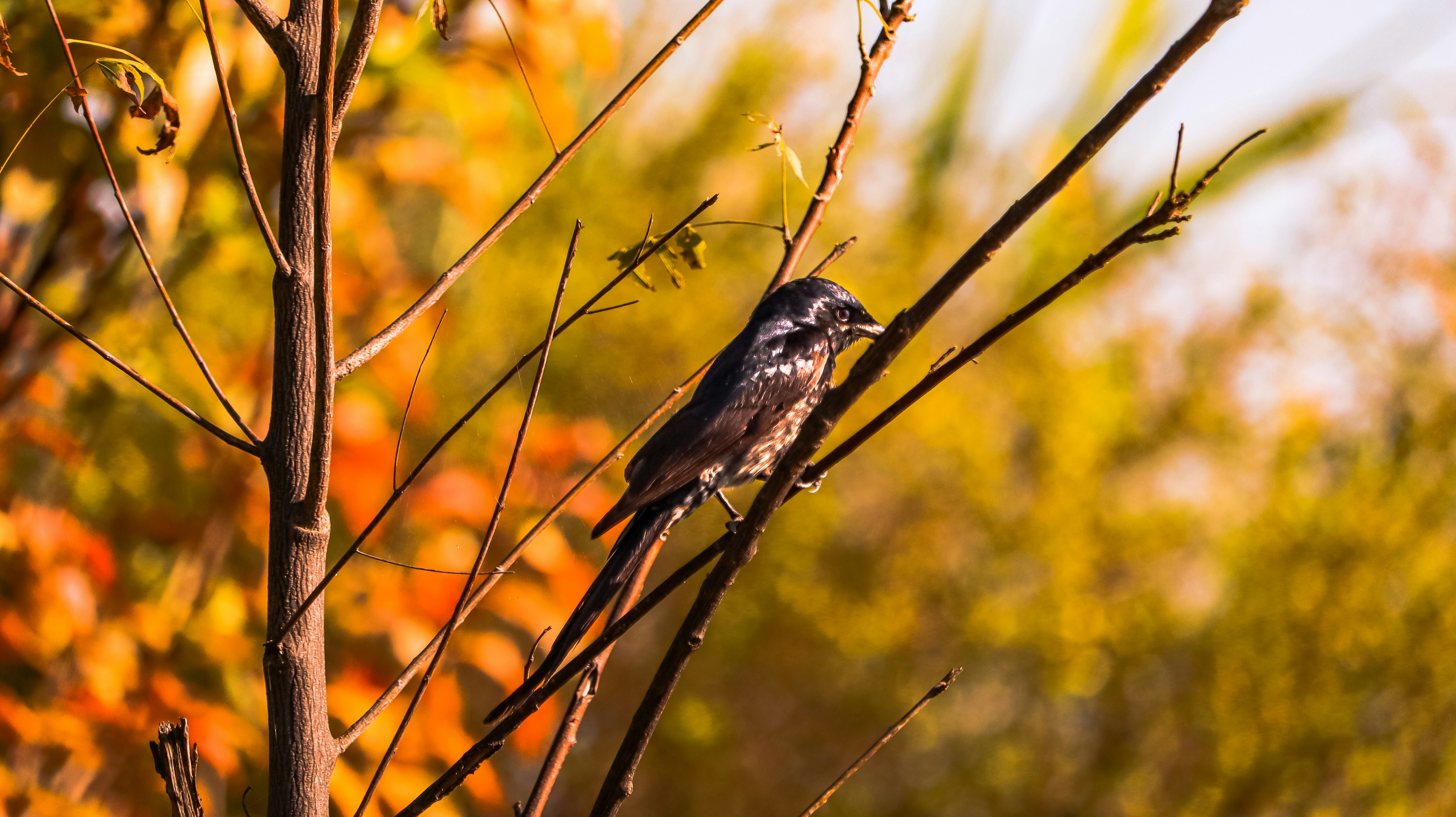 Photo by __mayankjpg__