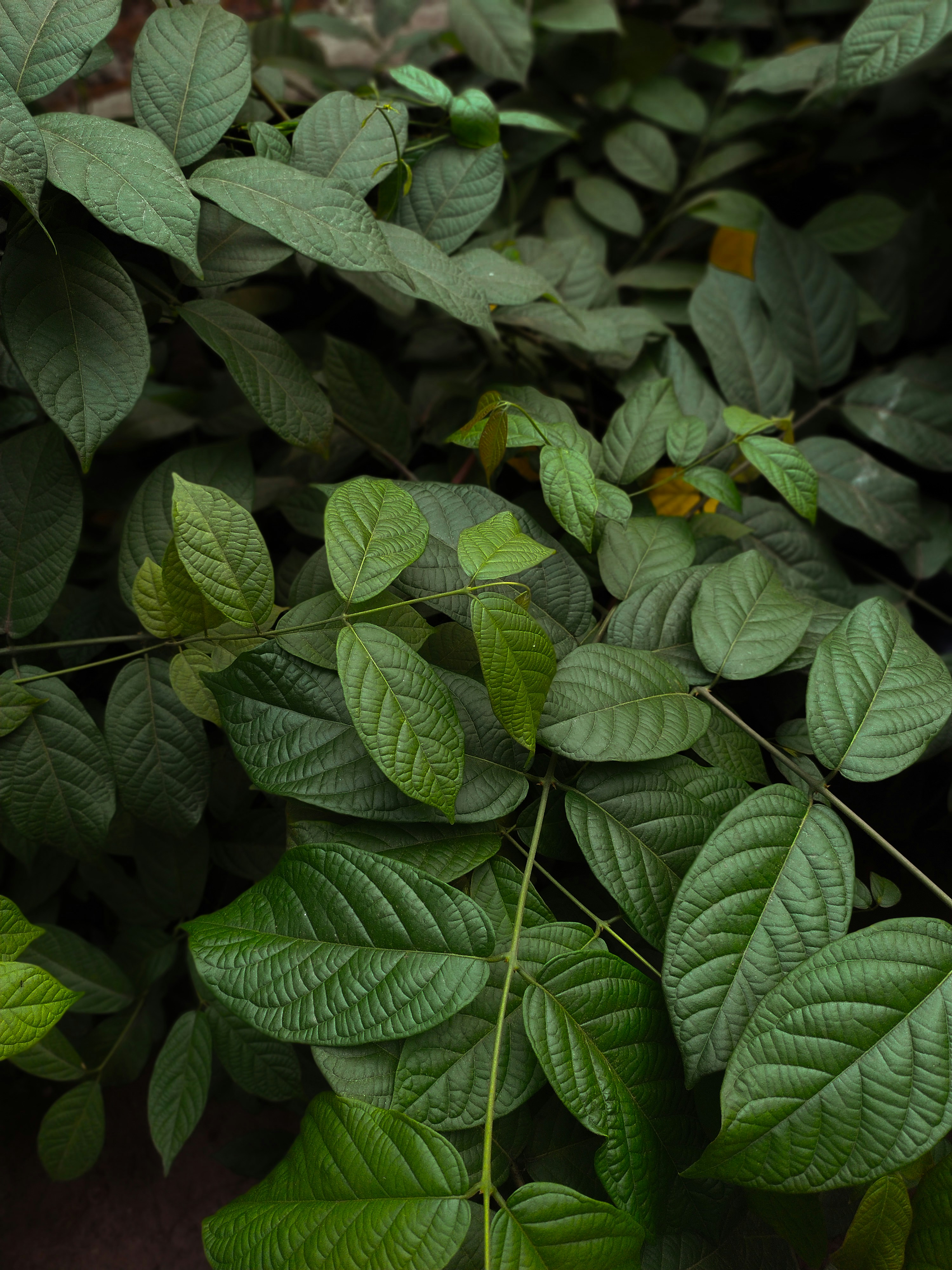 Photo by abhinandbijeesh