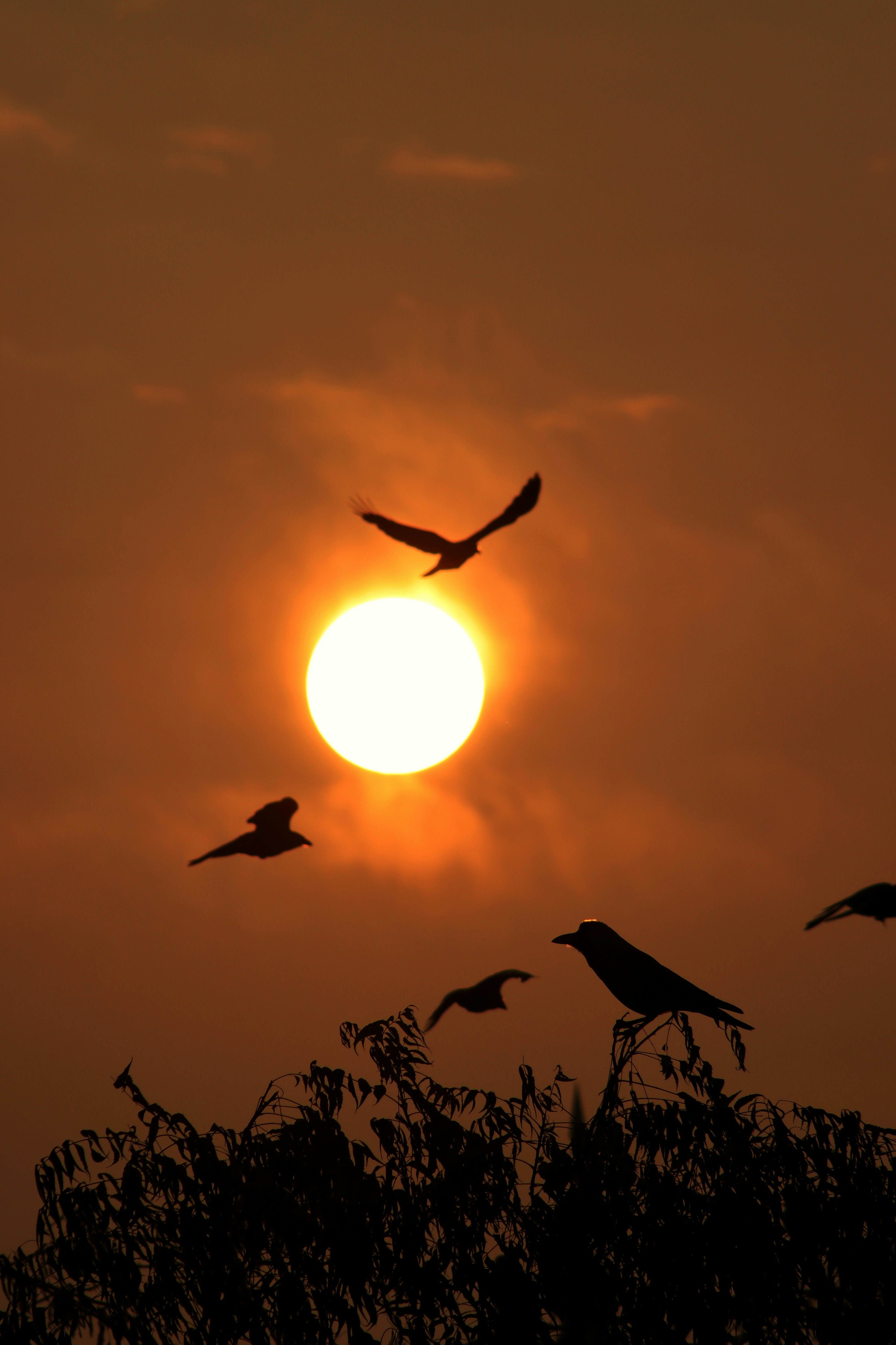 Photo by drphotographer152