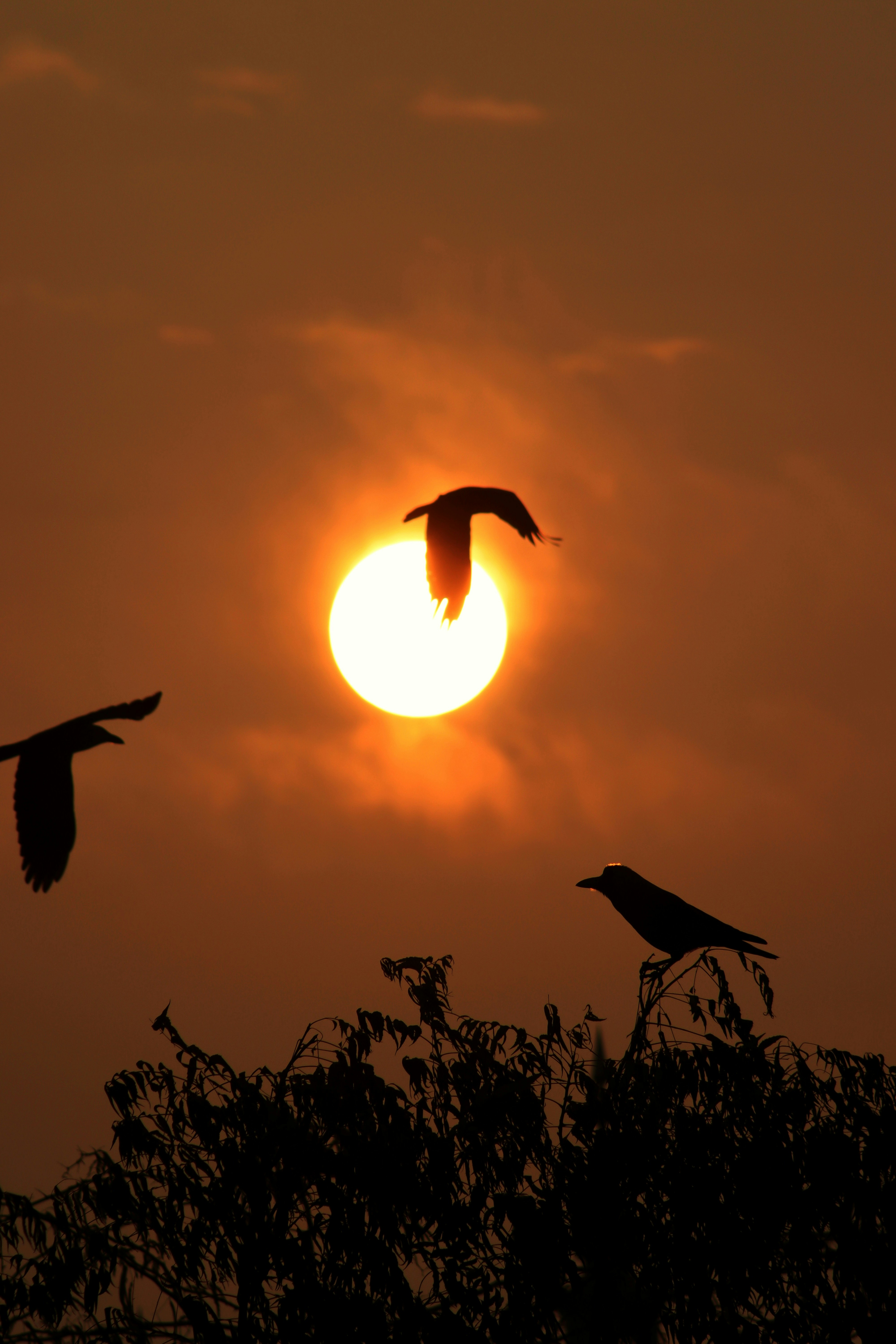 Photo by drphotographer152