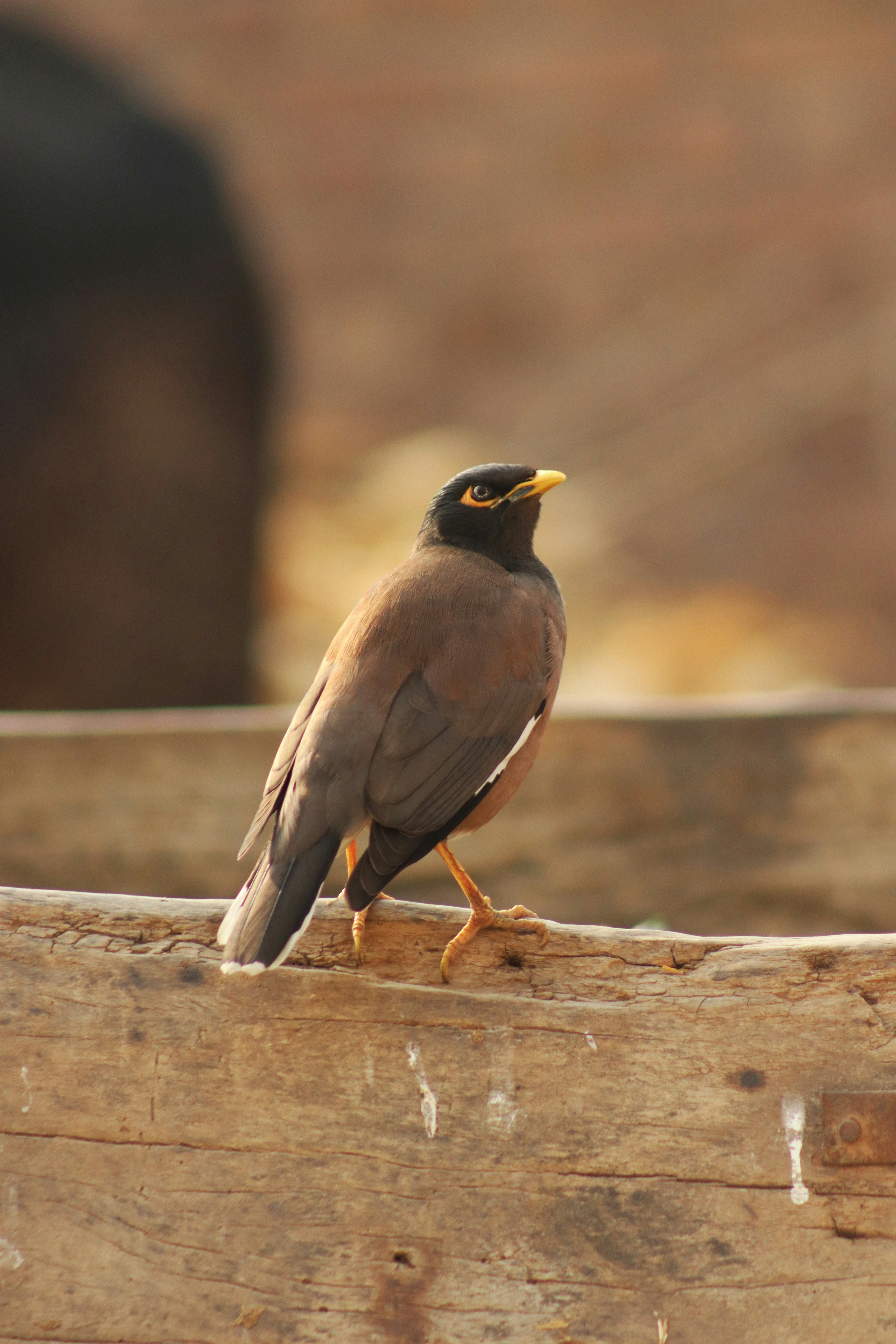 Photo by drphotographer152