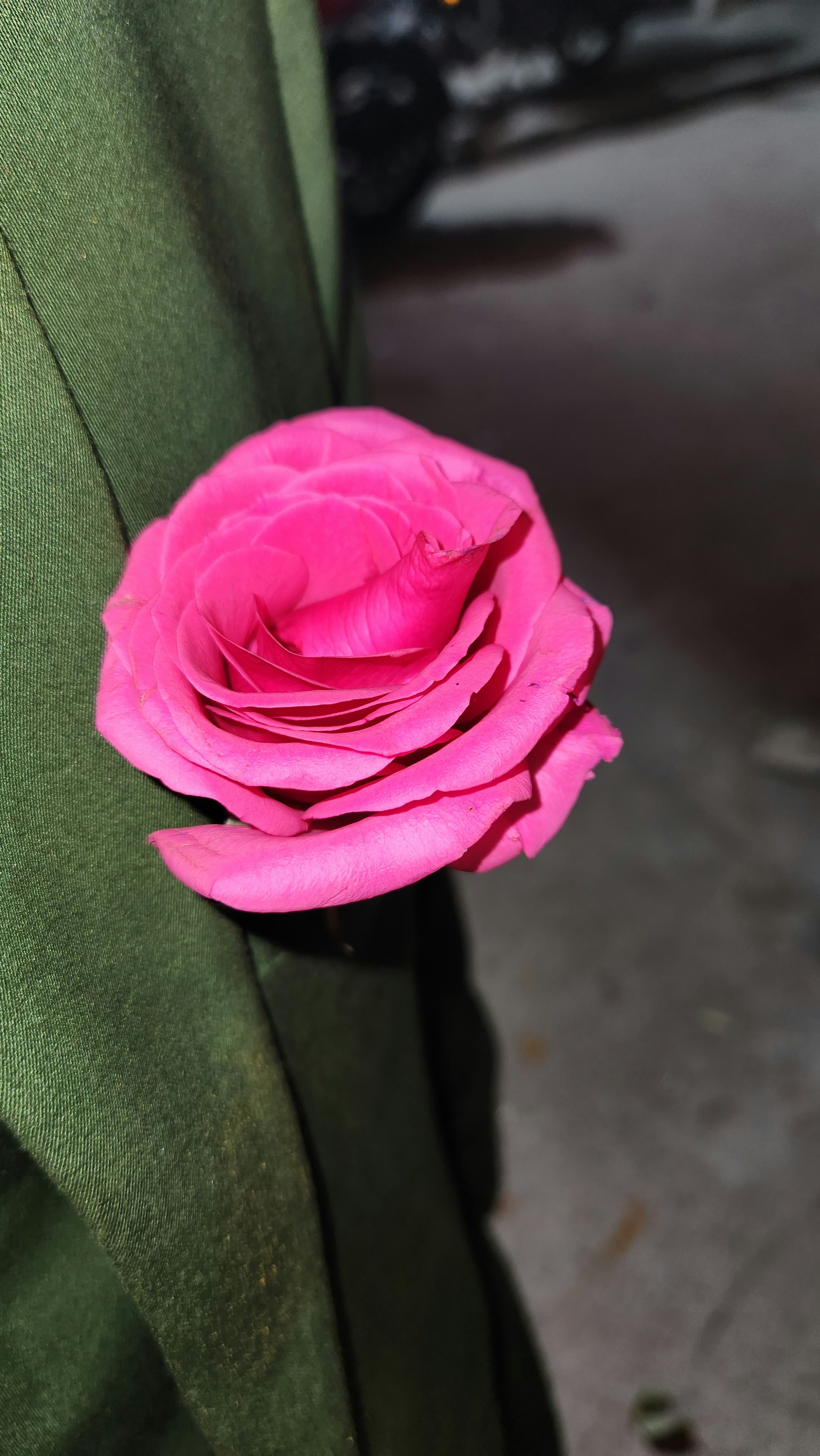 a close up of a pink flower on a green jacket