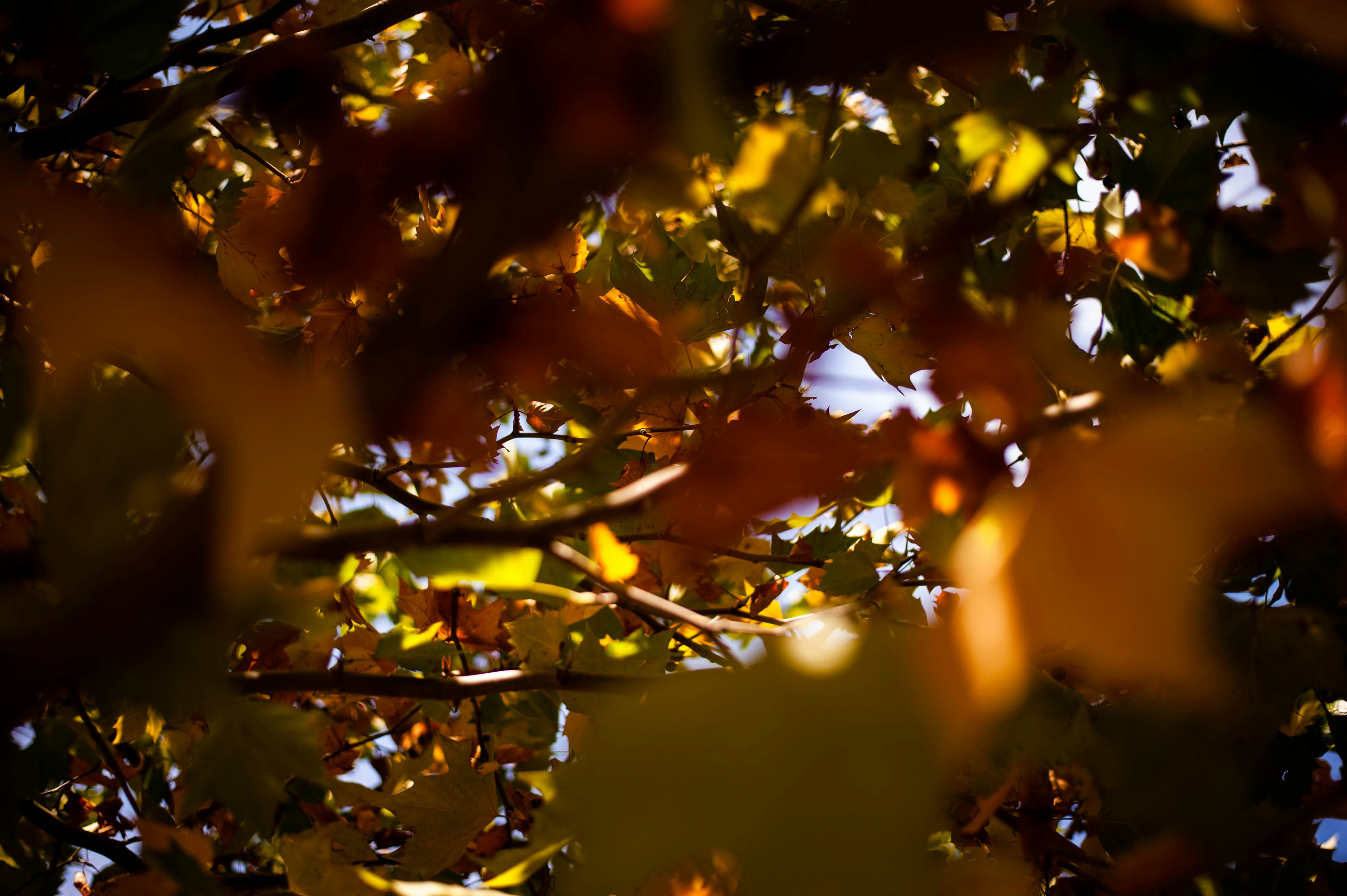 Photo by amermiftari