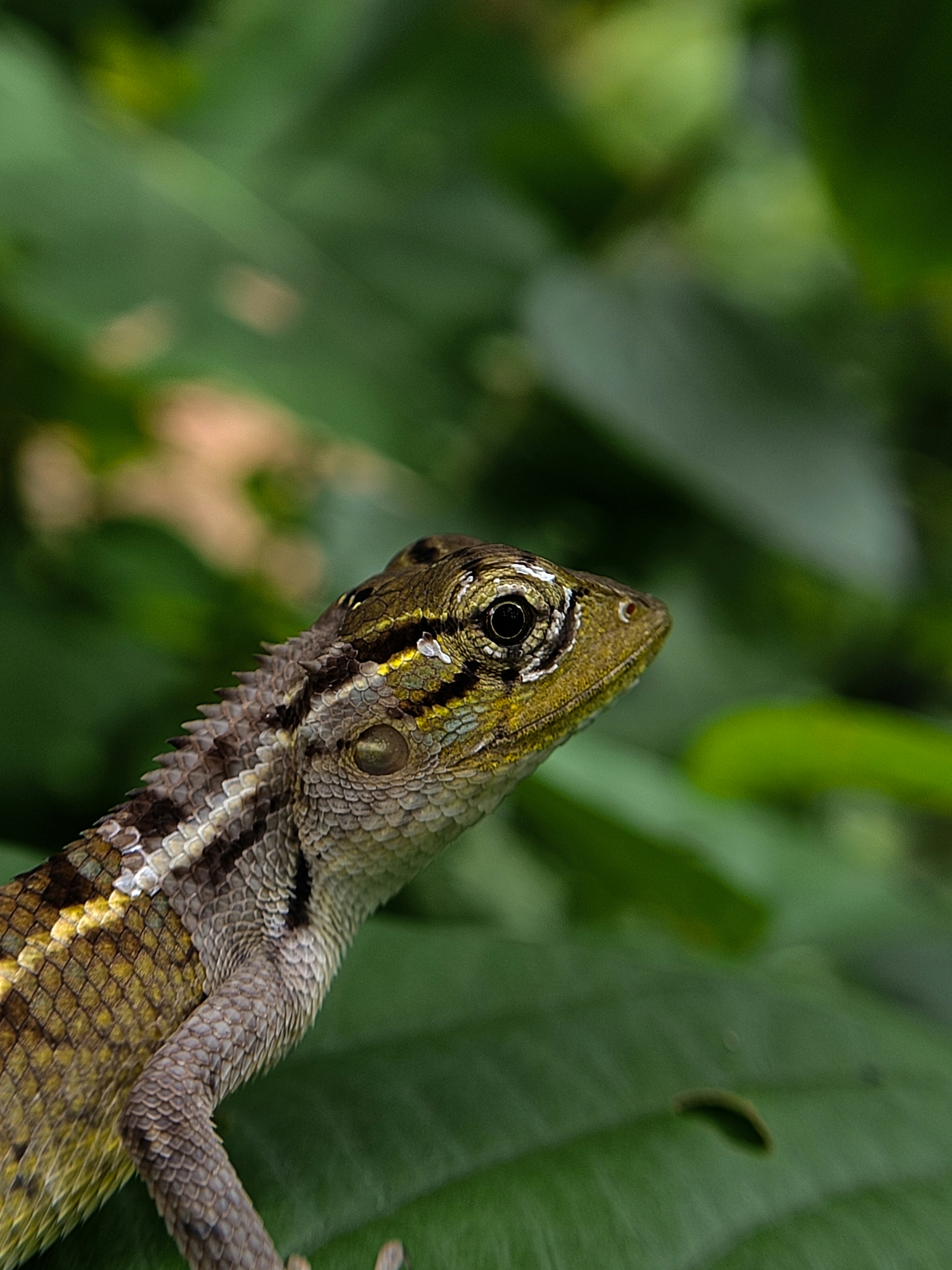 Photo by abhinandbijeesh