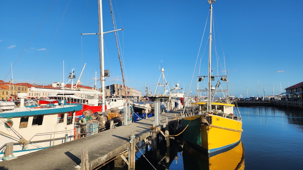 a group of boats docked in a harbor