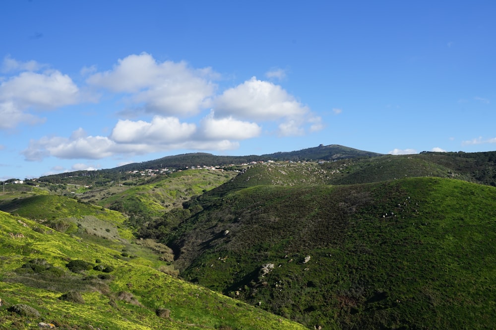 a lush green hillside under a blue sky