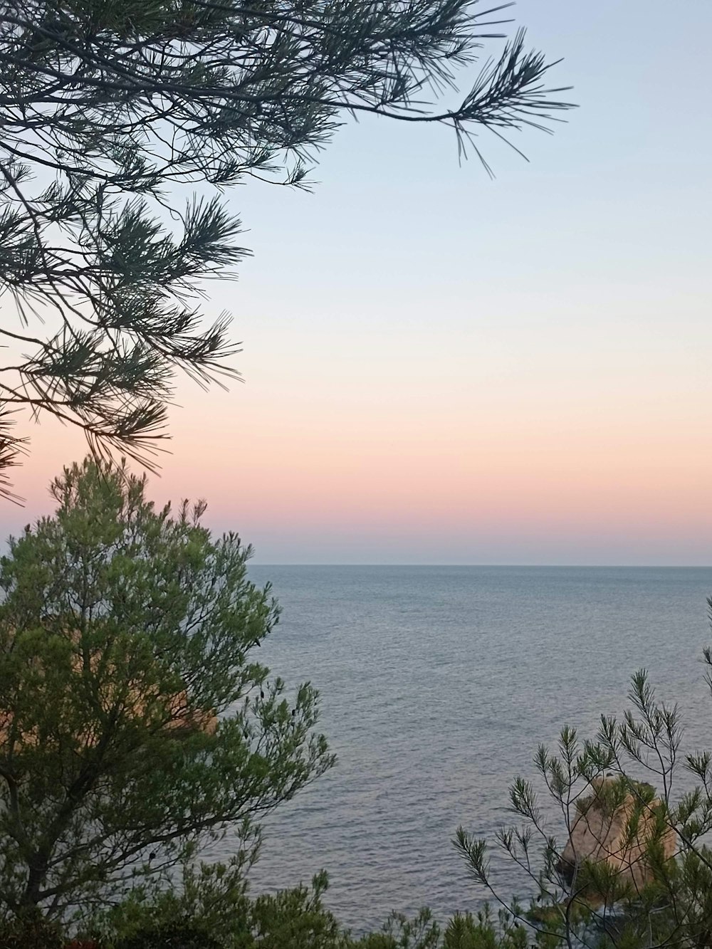 a view of the ocean through some trees
