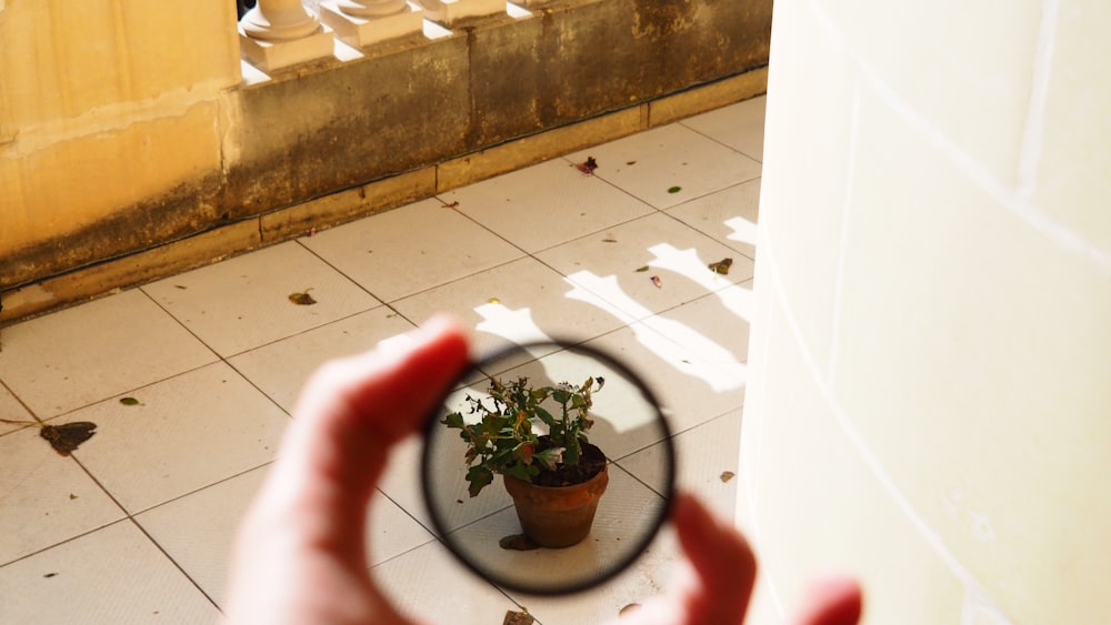 a person holding a magnifying glass looking at a potted plant