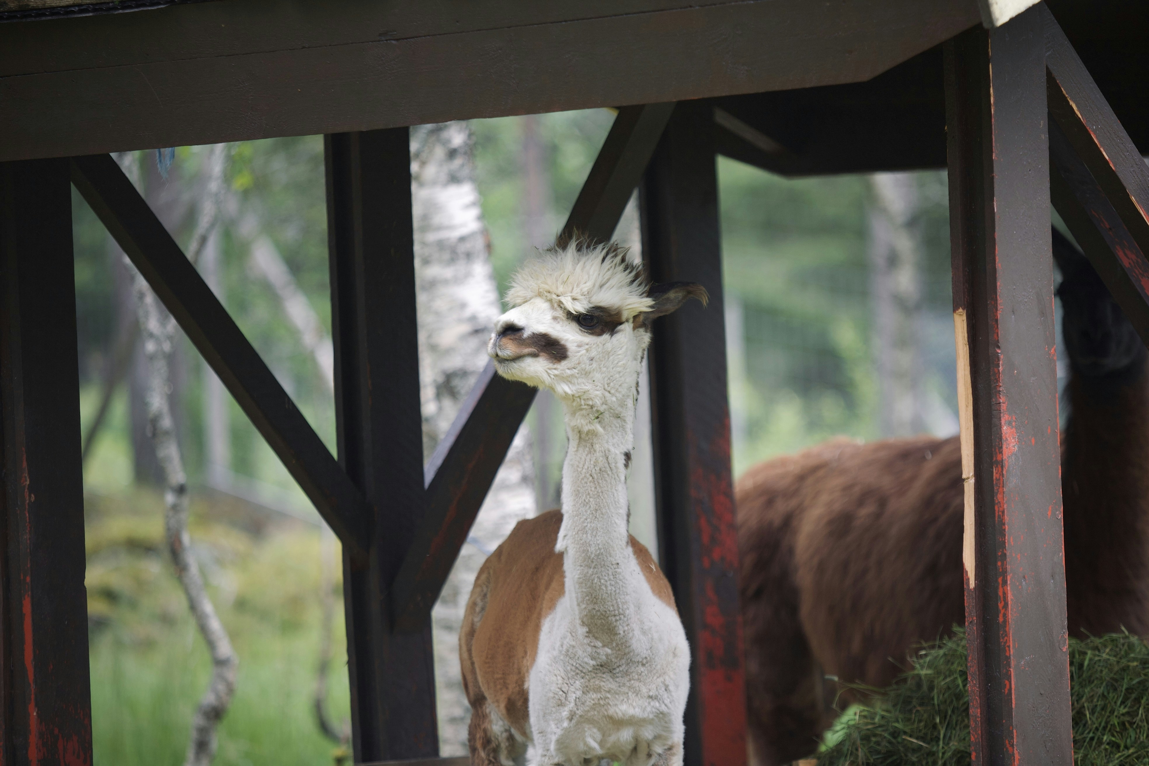 Photo by kristinokarlsen