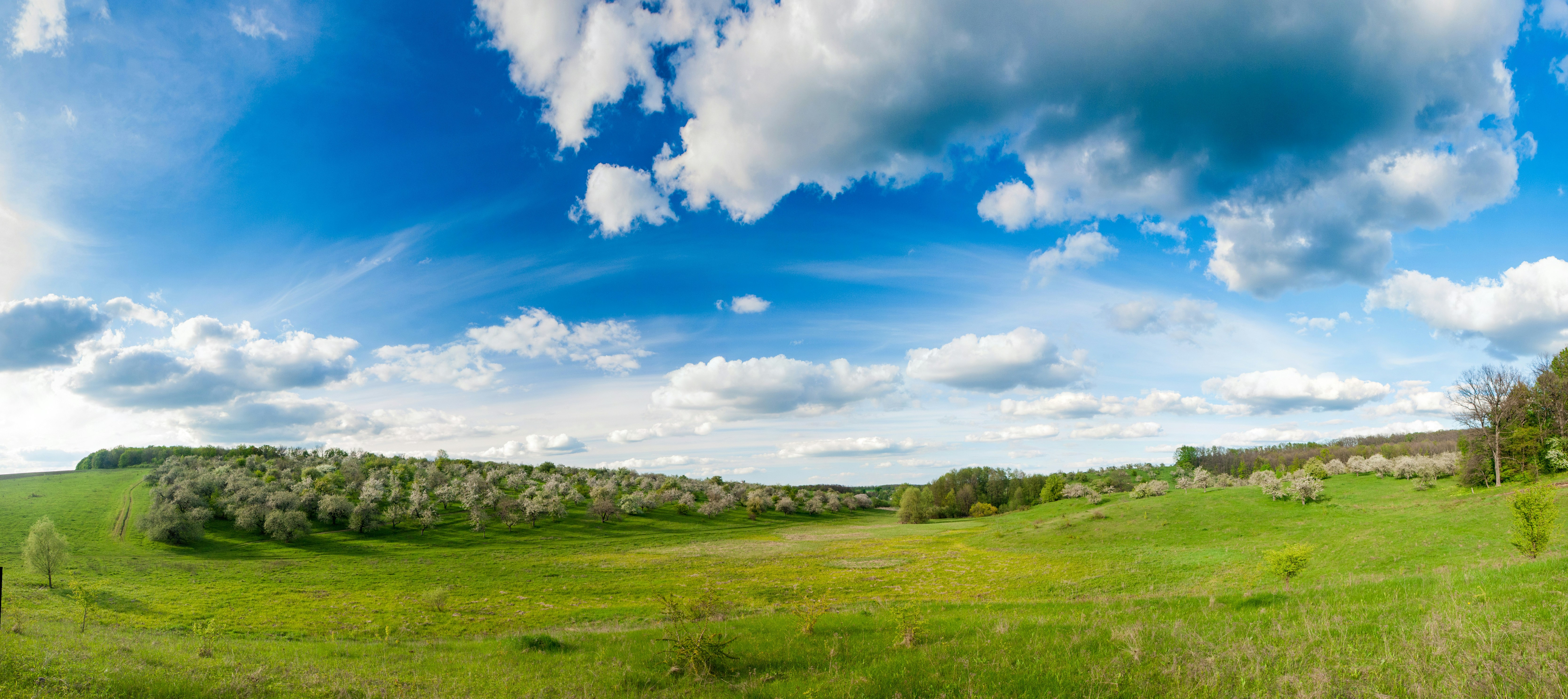 Un campo cubierto de hierba con árboles y nubes en el cielo foto – Imagen  de Primavera gratuita en Unsplash, image size:3000x1339