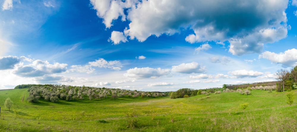 a grassy field with trees and clouds in the sky