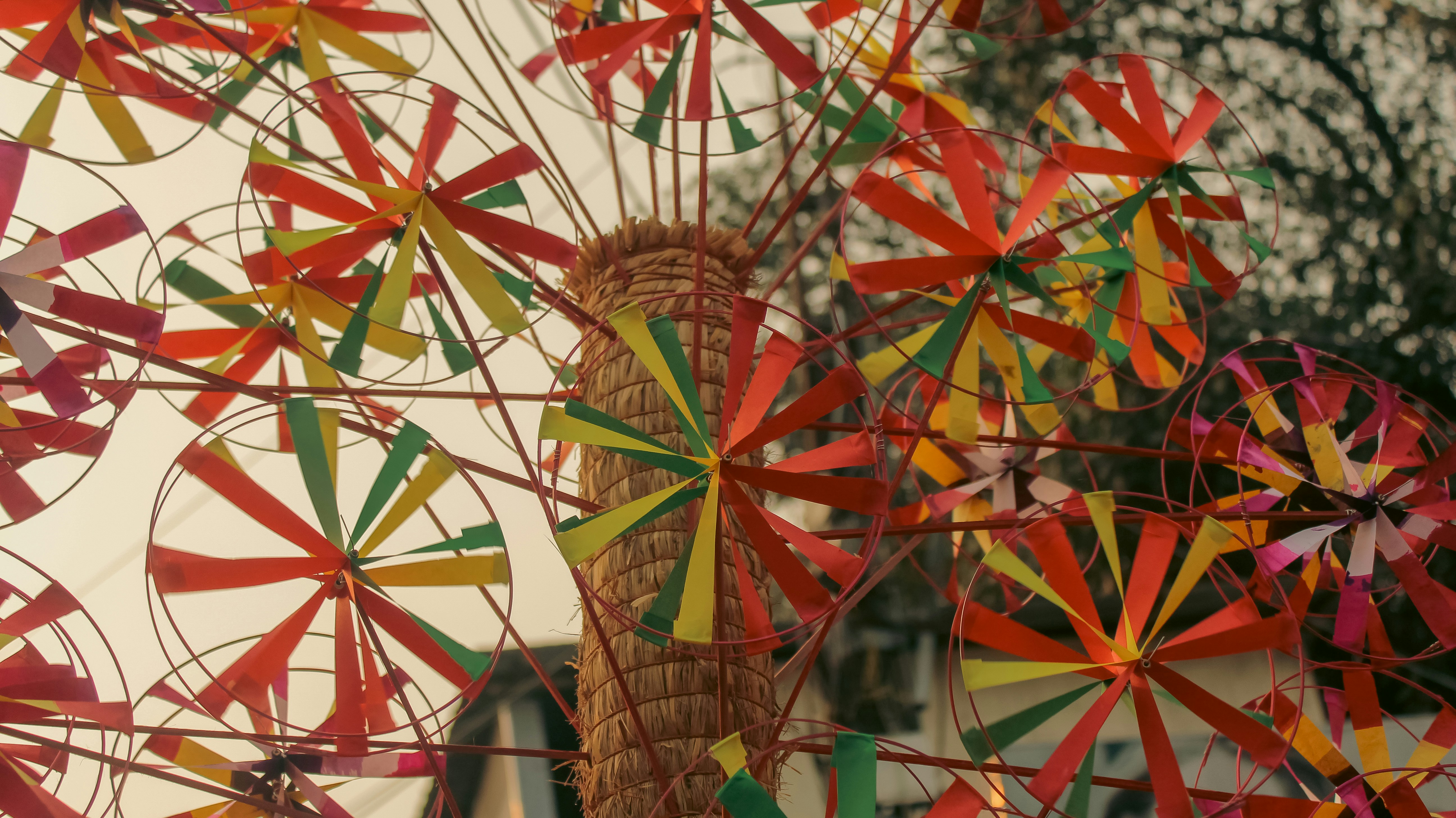 Photo by surajit_sarkar