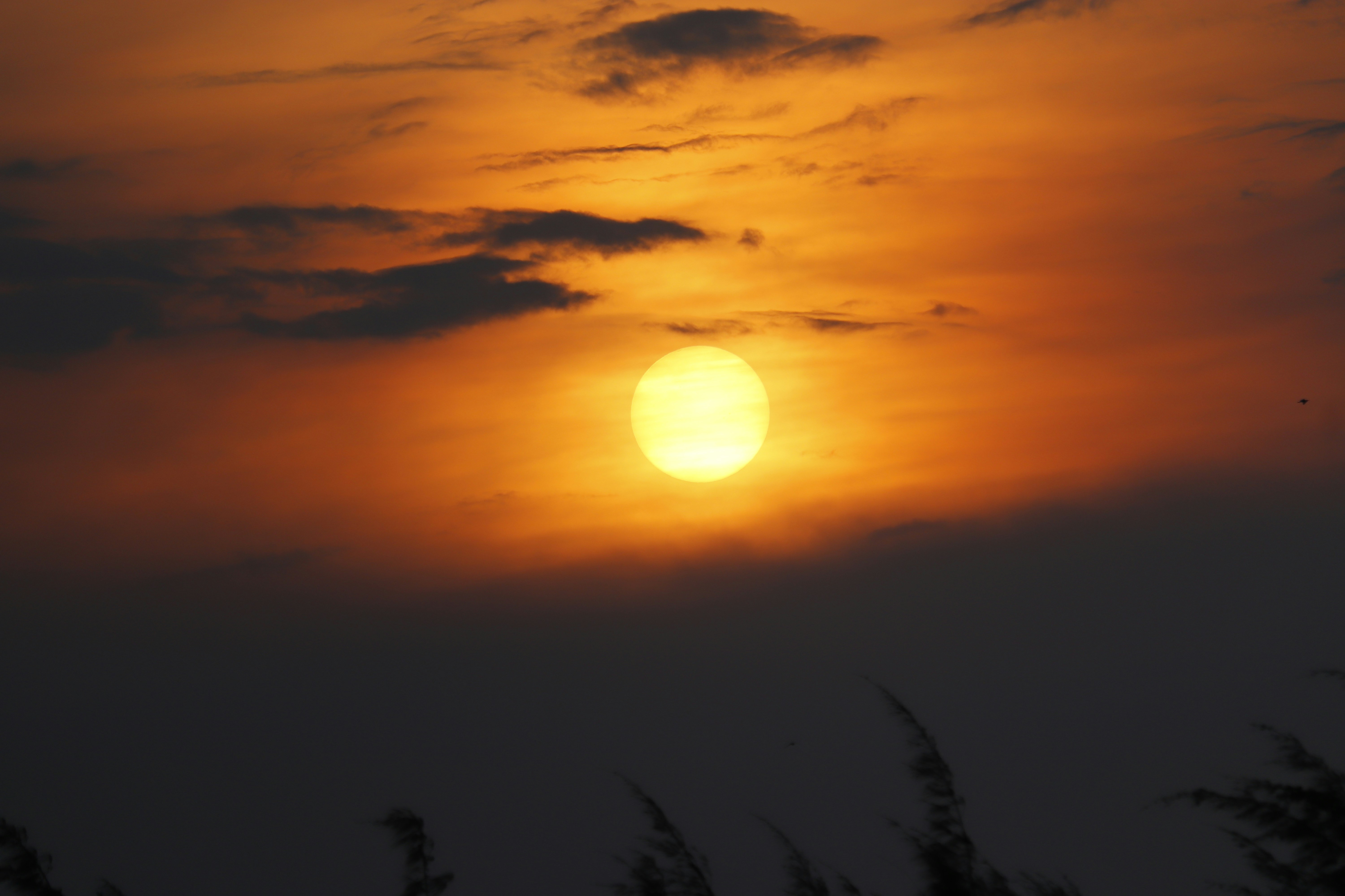 Photo by faisal_abdau