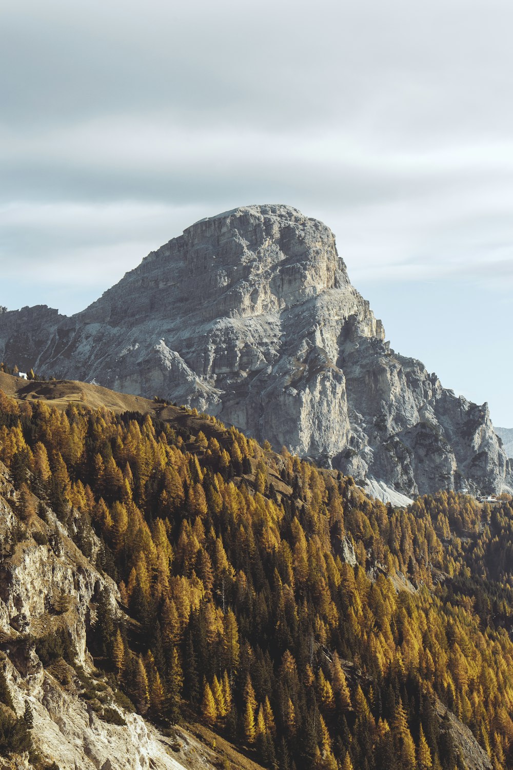 a mountain with trees on the side of it